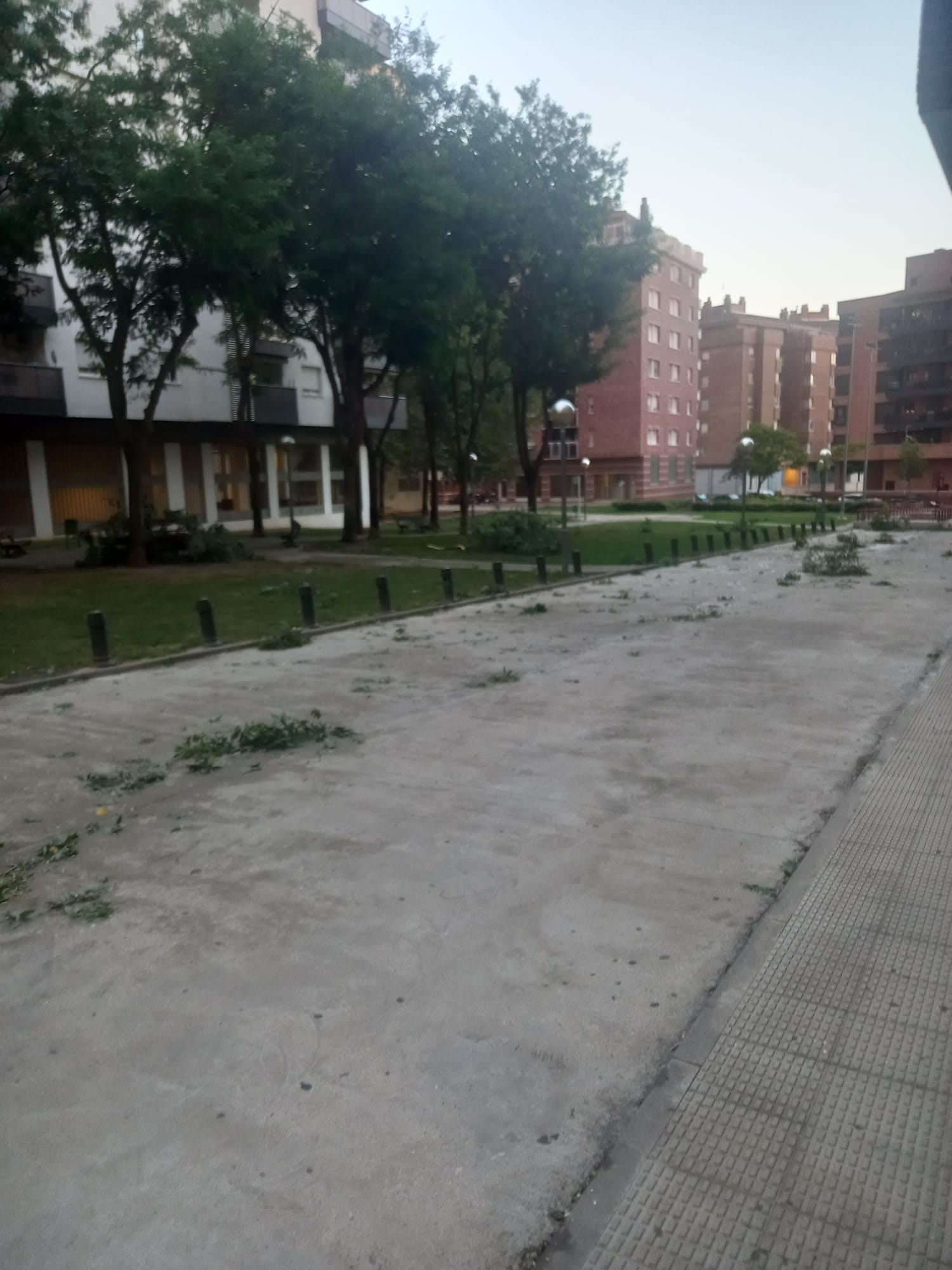 Efectos de la tormenta acompañada de fuerte viento que se ha registrado en Huesca.