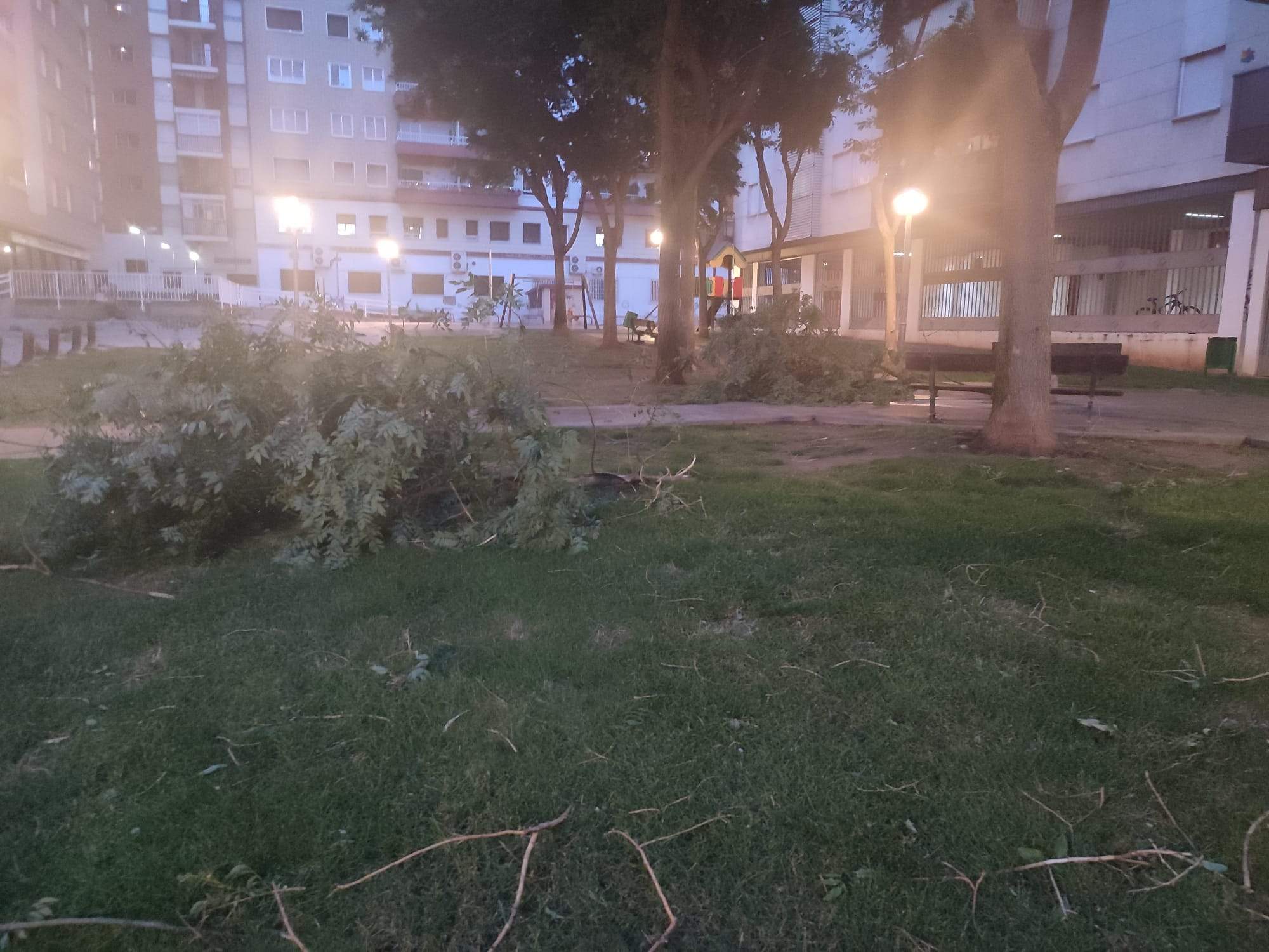 Efectos de la tormenta acompañada de fuerte viento que se ha registrado en Huesca.