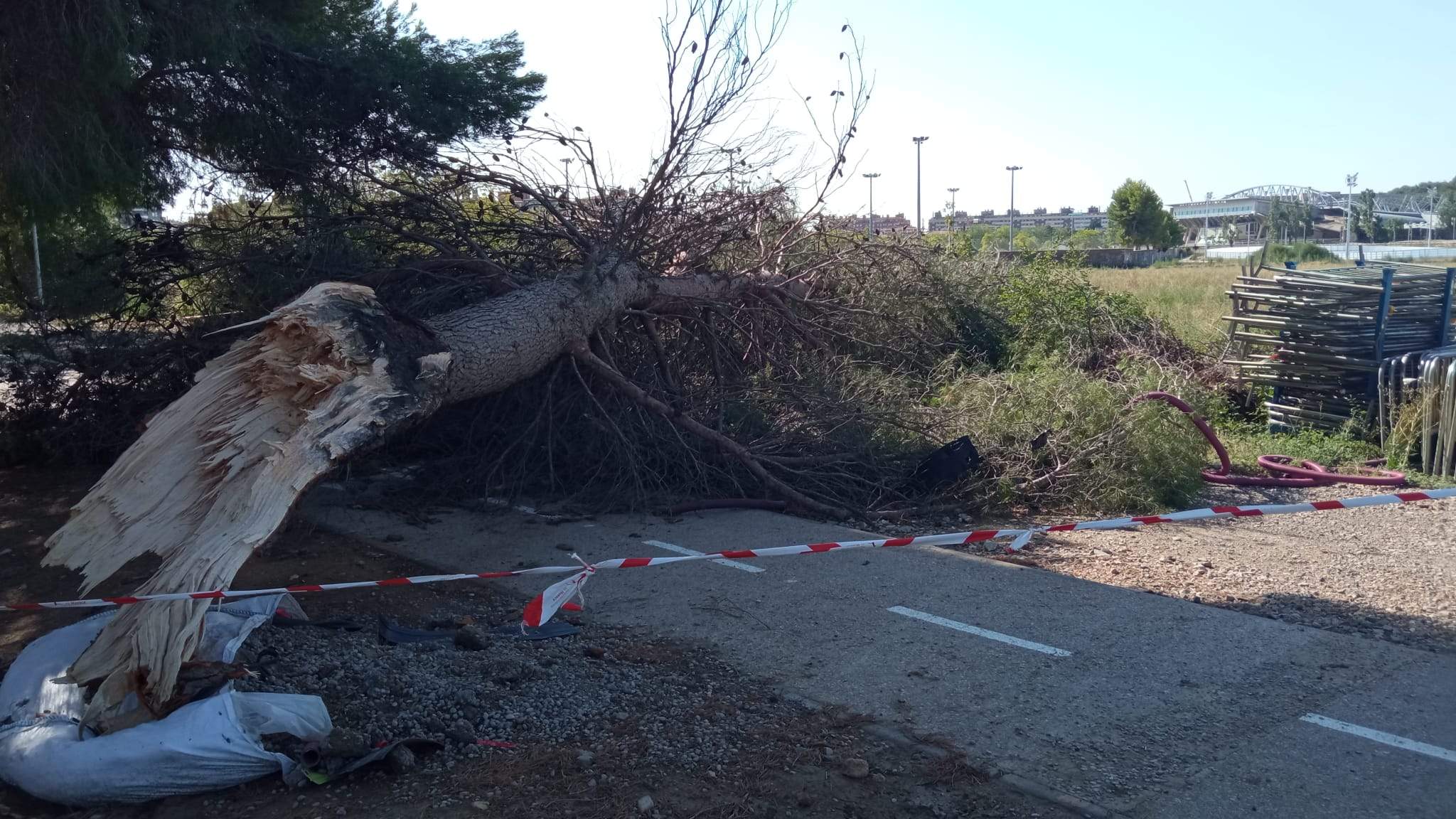 Efectos de la tormenta acompañada de fuerte viento que se ha registrado en Huesca.
