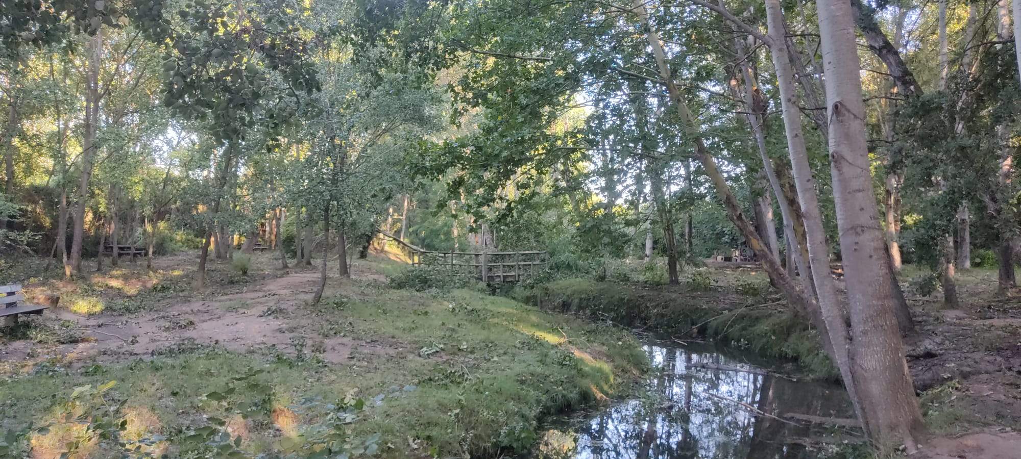 Efectos de la tormenta acompañada de fuerte viento que se ha registrado en Huesca.