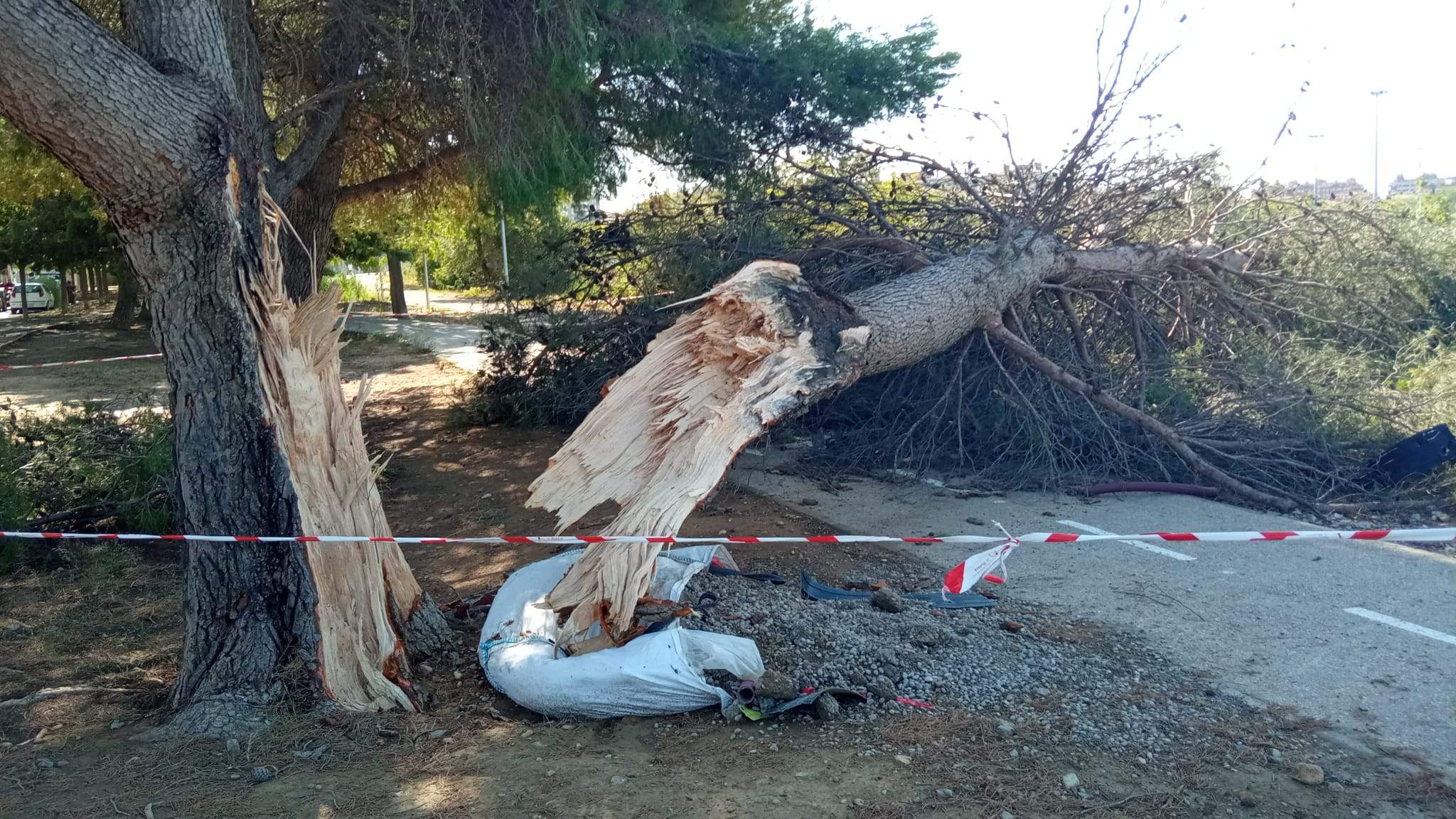 Efectos de la tormenta acompañada de fuerte viento que se ha registrado en Huesca.