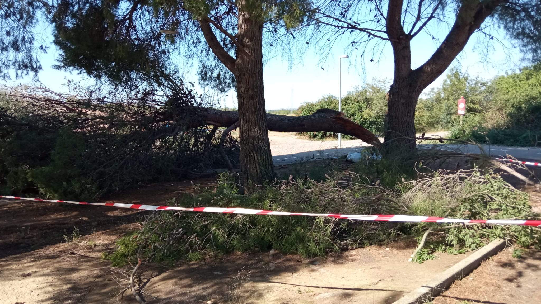 Efectos de la tormenta acompañada de fuerte viento que se ha registrado en Huesca.