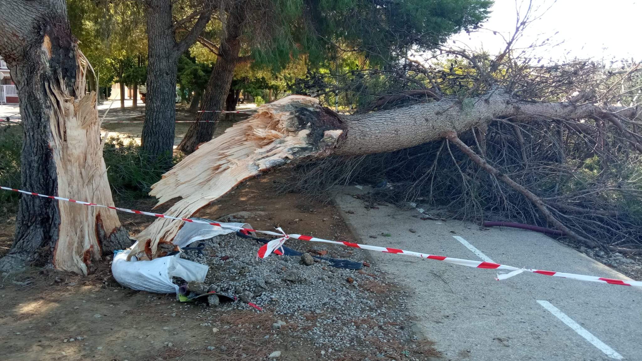 Efectos de la tormenta acompañada de fuerte viento que se ha registrado en Huesca.