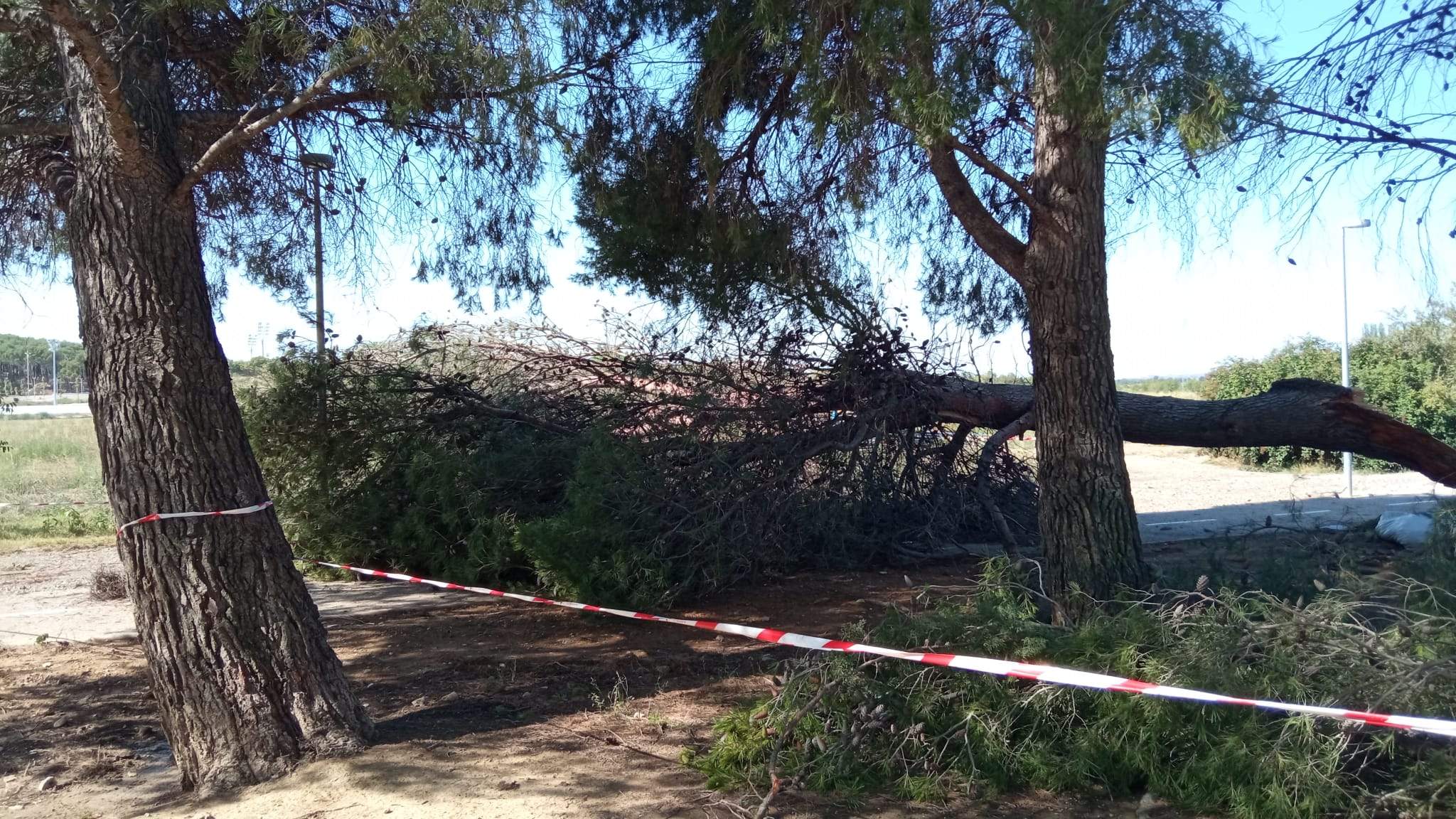 Efectos de la tormenta acompañada de fuerte viento que se ha registrado en Huesca.