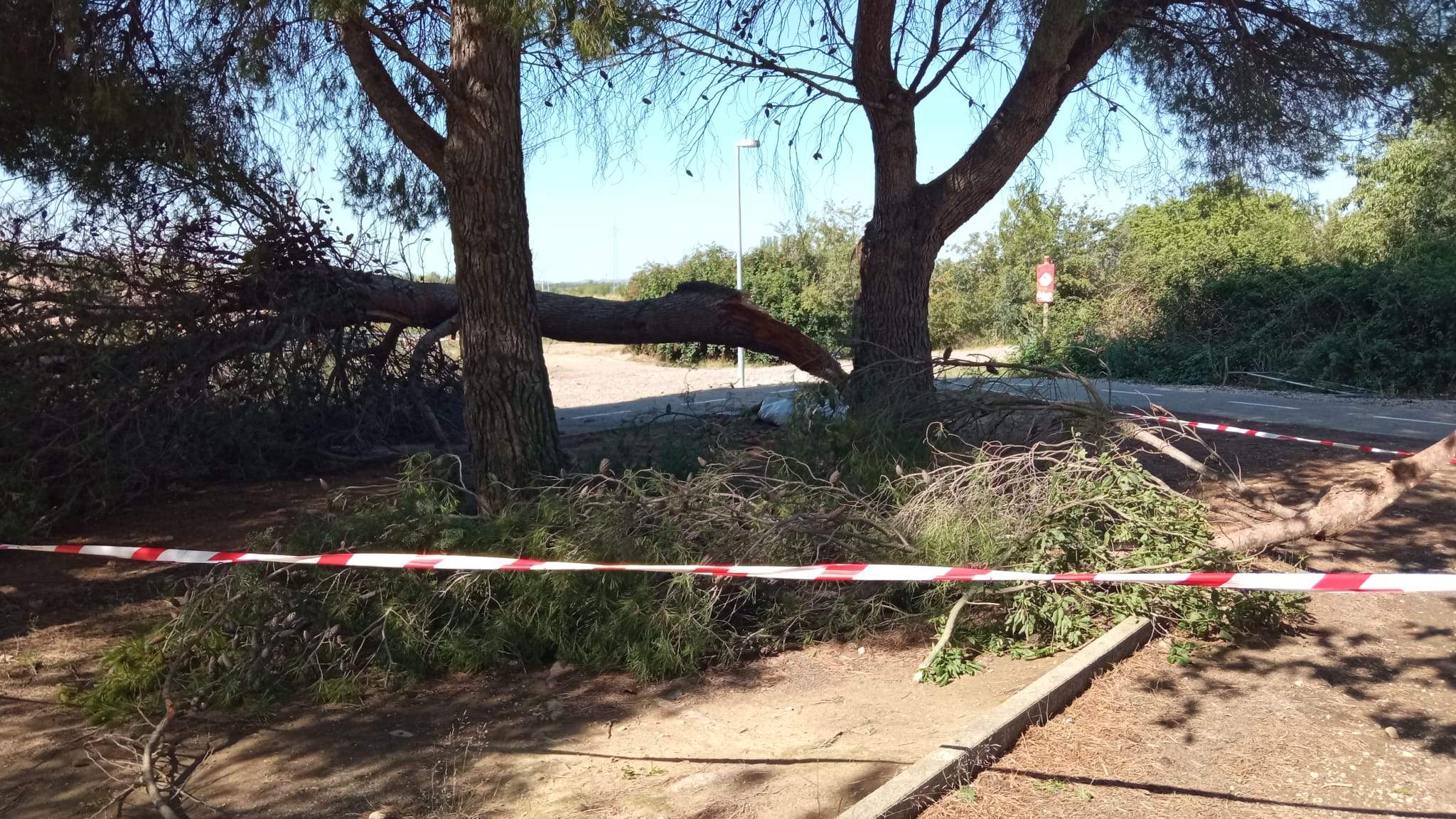 Efectos de la tormenta acompañada de fuerte viento que se ha registrado en Huesca.