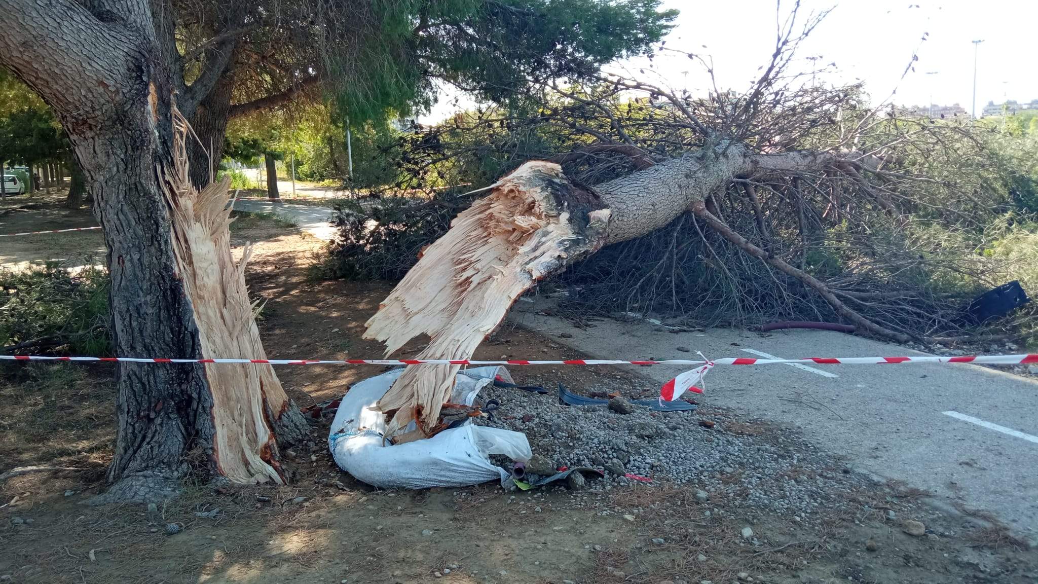 Efectos de la tormenta acompañada de fuerte viento que se ha registrado en Huesca.
