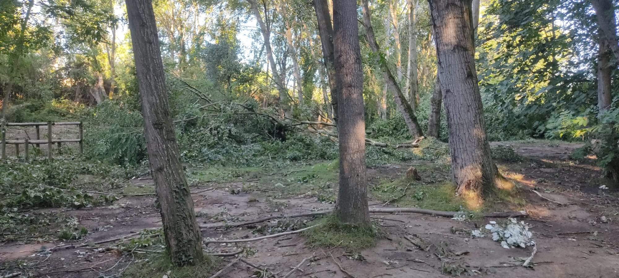 Efectos de la tormenta acompañada de fuerte viento que se ha registrado en Huesca.