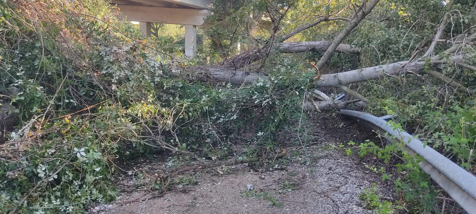 Efectos de la tormenta acompañada de fuerte viento que se ha registrado en Huesca.
