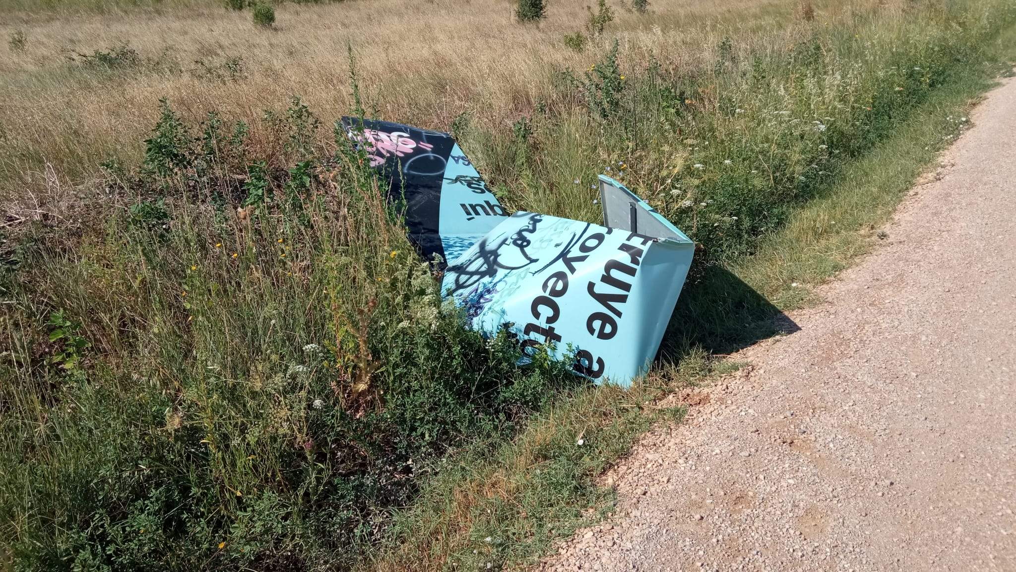 Efectos de la tormenta acompañada de fuerte viento que se ha registrado en Huesca.