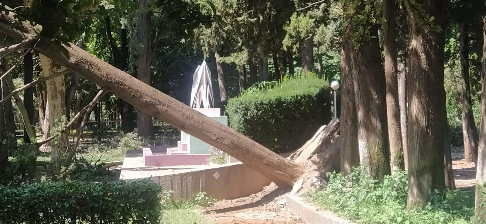 Afecciones de la tormenta de este jueves en Huesca. Foto Joaquín Santafé