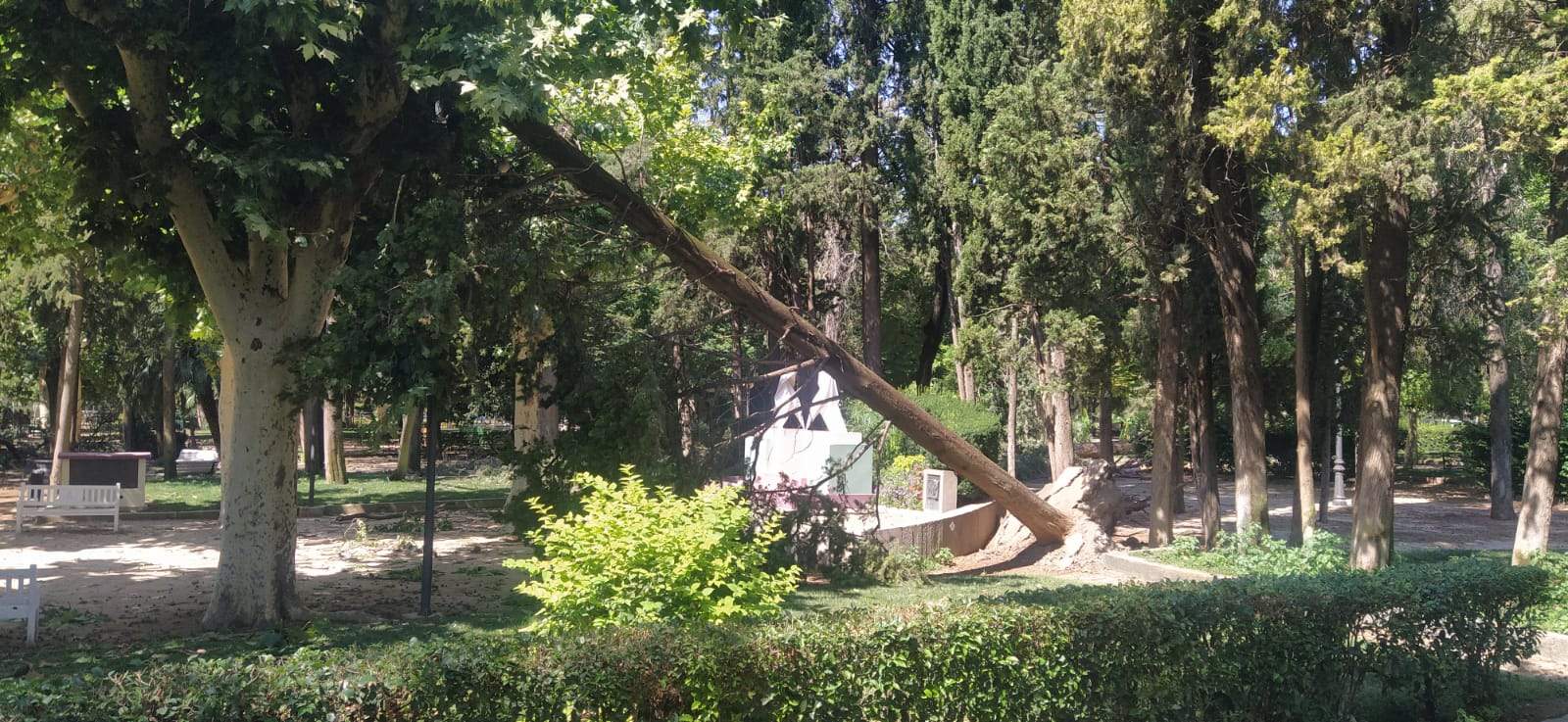 Afecciones de la tormenta de este jueves en Huesca. Foto Joaquín Santafé