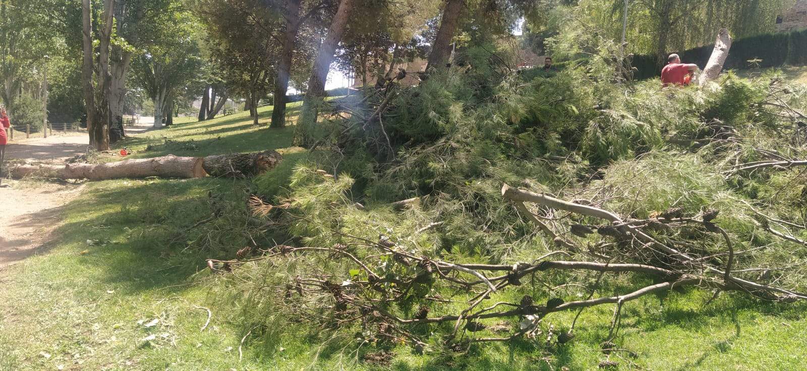 Afecciones de la tormenta de este jueves en Huesca. Foto Joaquín Santafé