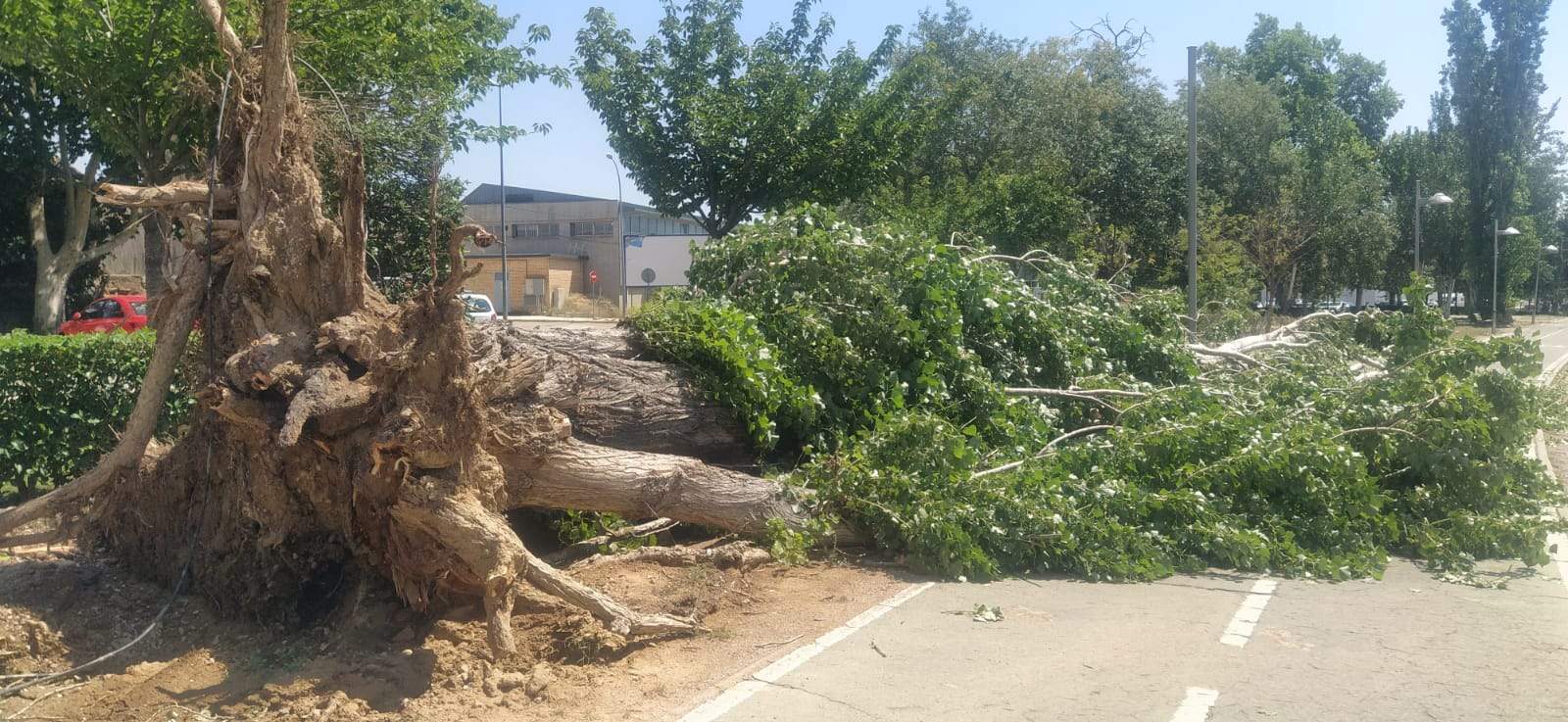 Afecciones de la tormenta de este jueves en Huesca. Foto Joaquín Santafé