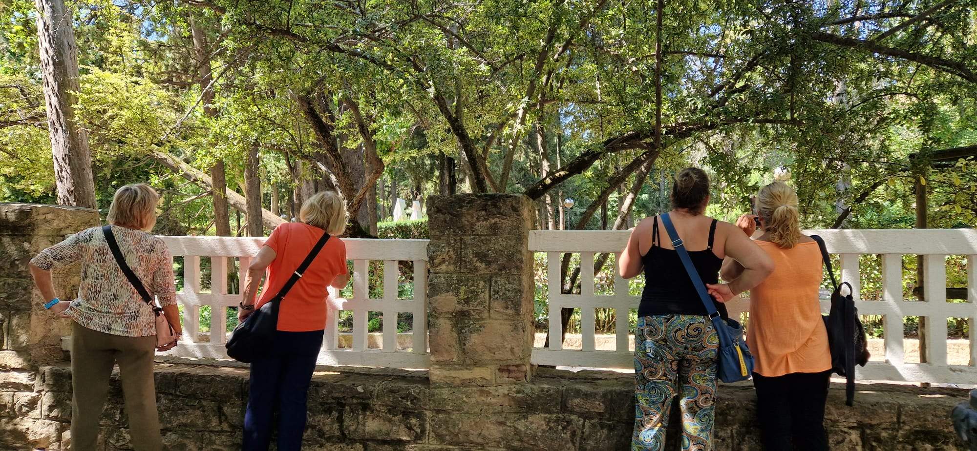 El árbol caído junto al Paseo de las Pajaritas ha despertado mucha curiosidad. Foto Myriam Martínez