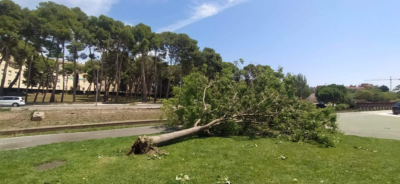 Afecciones de la tormenta de este jueves en Huesca. Foto Joaquín Santafé
