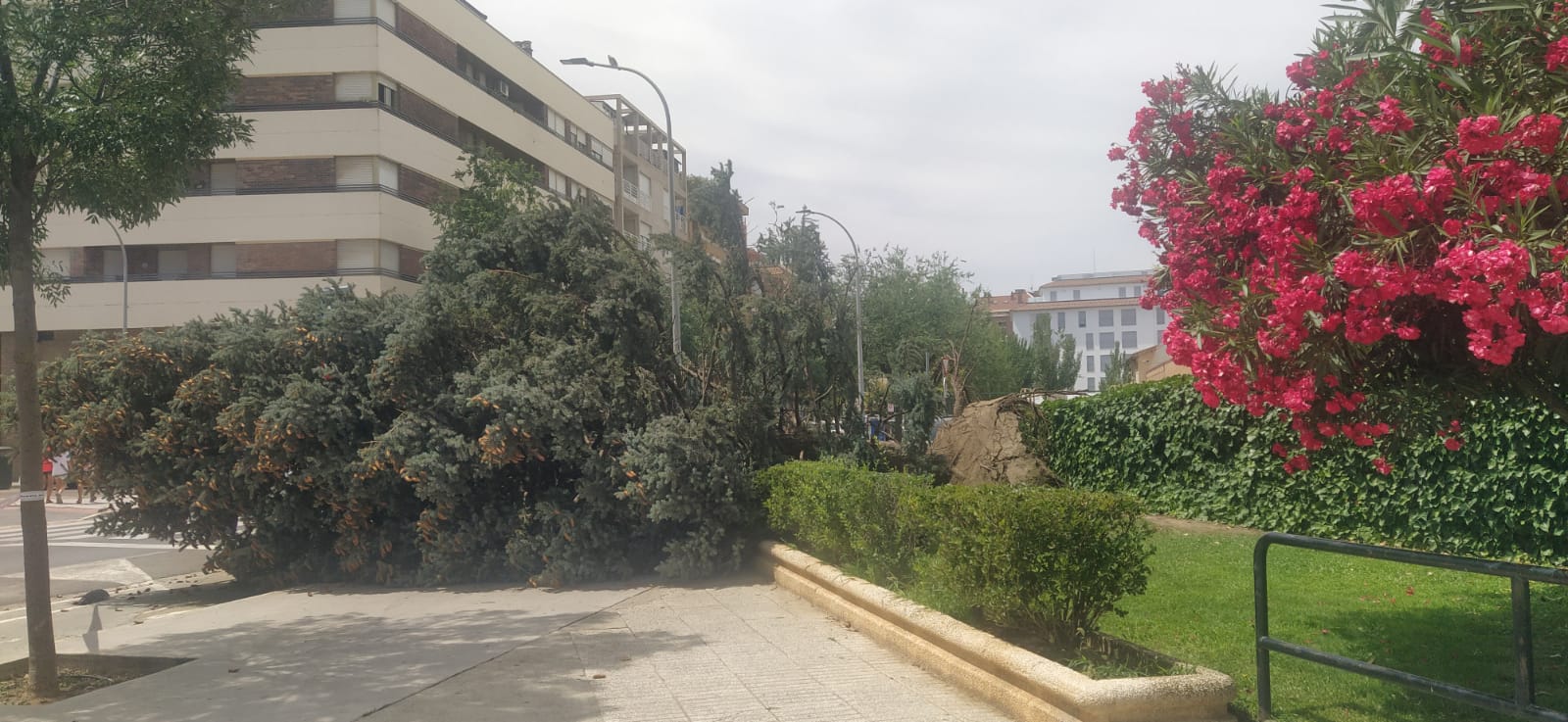 Afecciones de la tormenta de este jueves en Huesca. Foto Joaquín Santafé