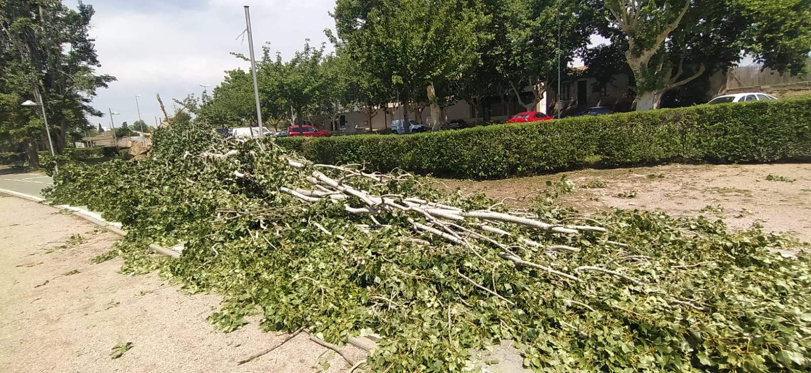 Afecciones de la tormenta de este jueves en Huesca. Foto Joaquín Santafé