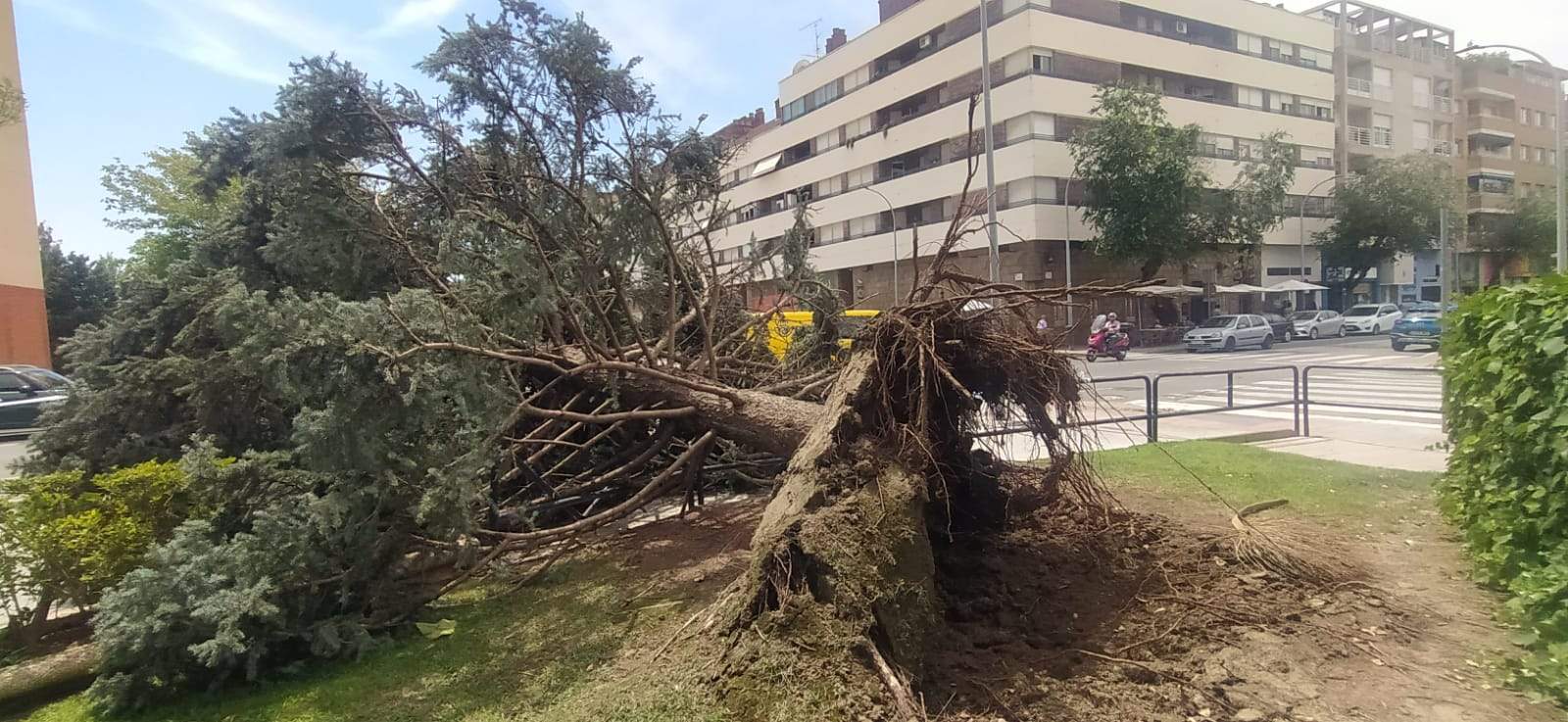 Afecciones de la tormenta de este jueves en Huesca. Foto Joaquín Santafé