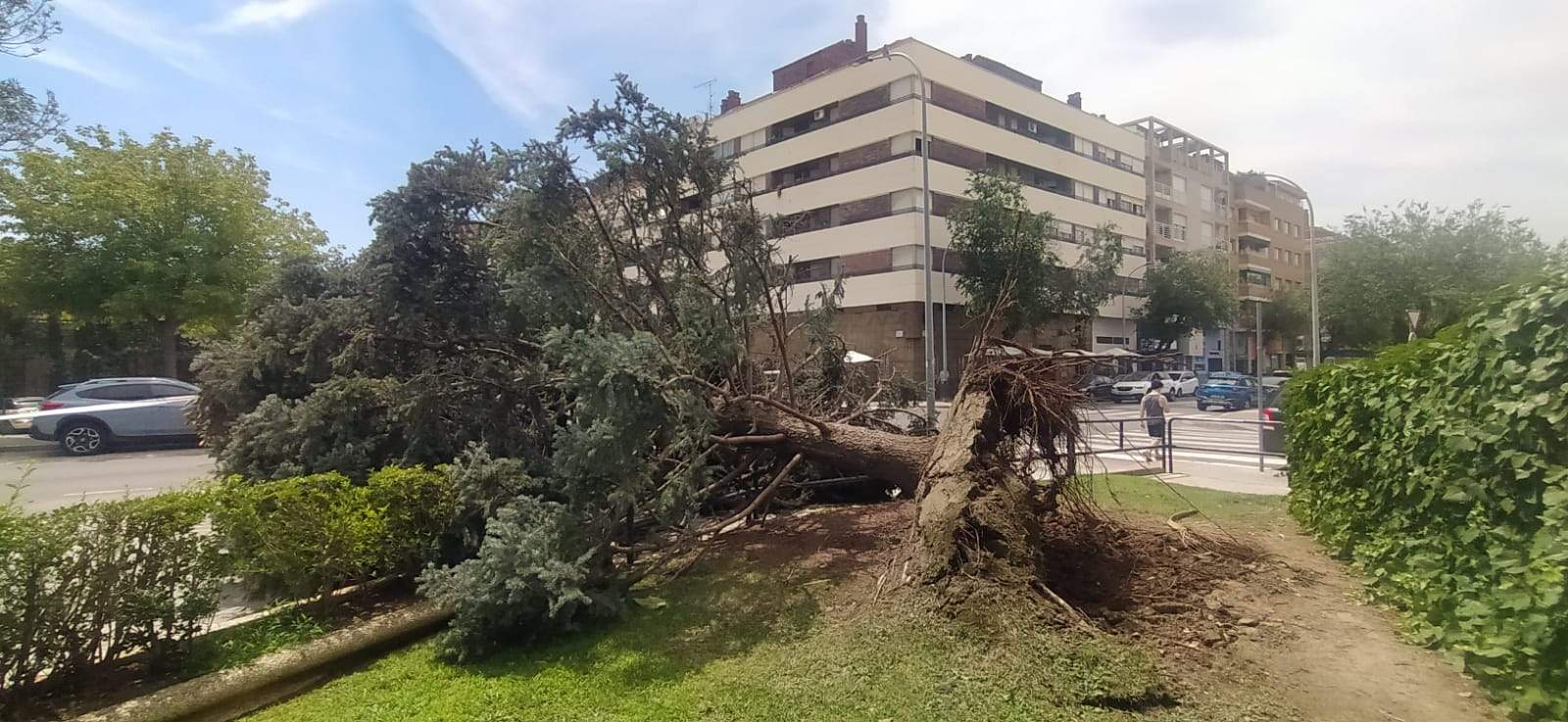 Afecciones de la tormenta de este jueves en Huesca. Foto Joaquín Santafé