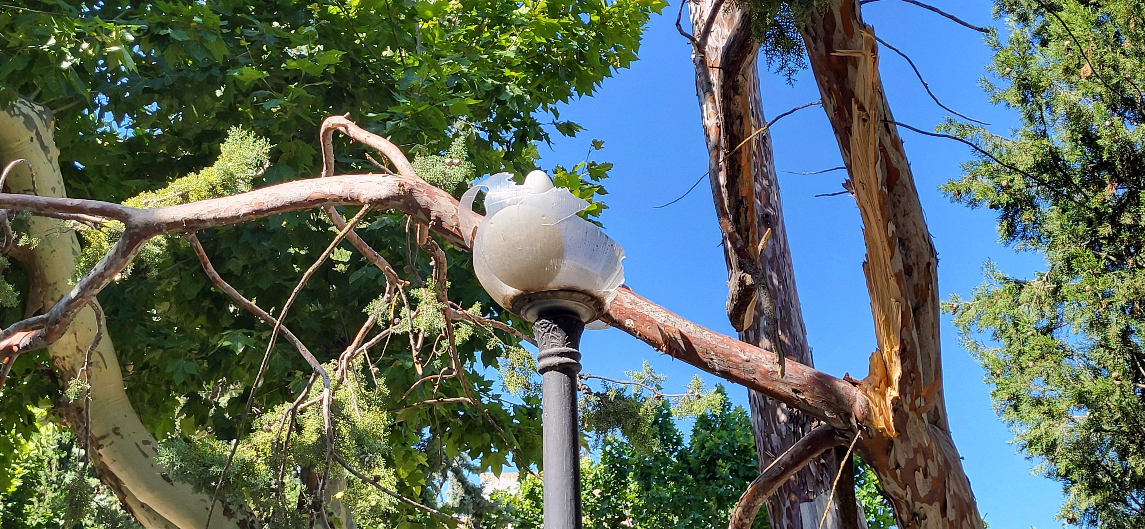 Afecciones de la tormenta de este jueves en Huesca. Foto Mercedes Manterola