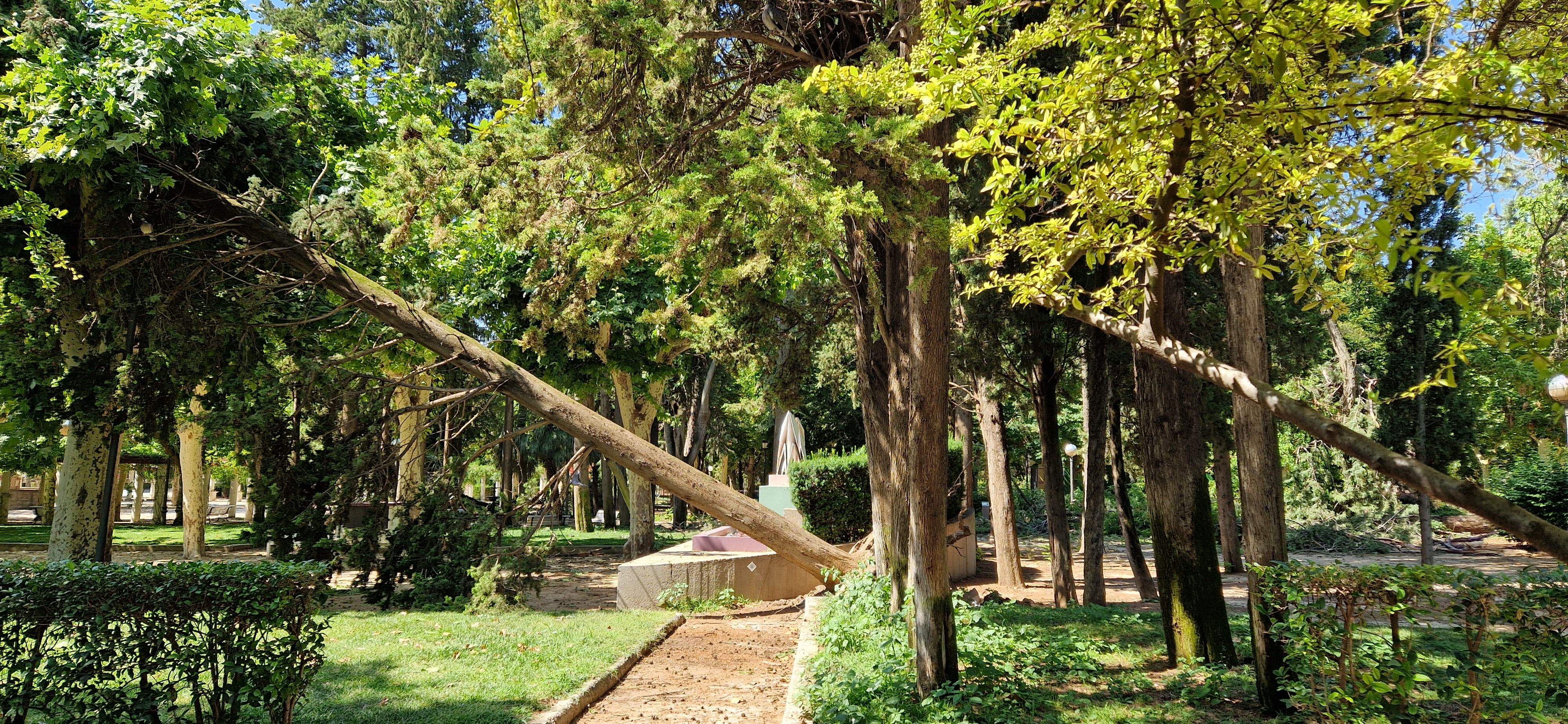 Parque Miguel Servet. Foto Myriam Martínez