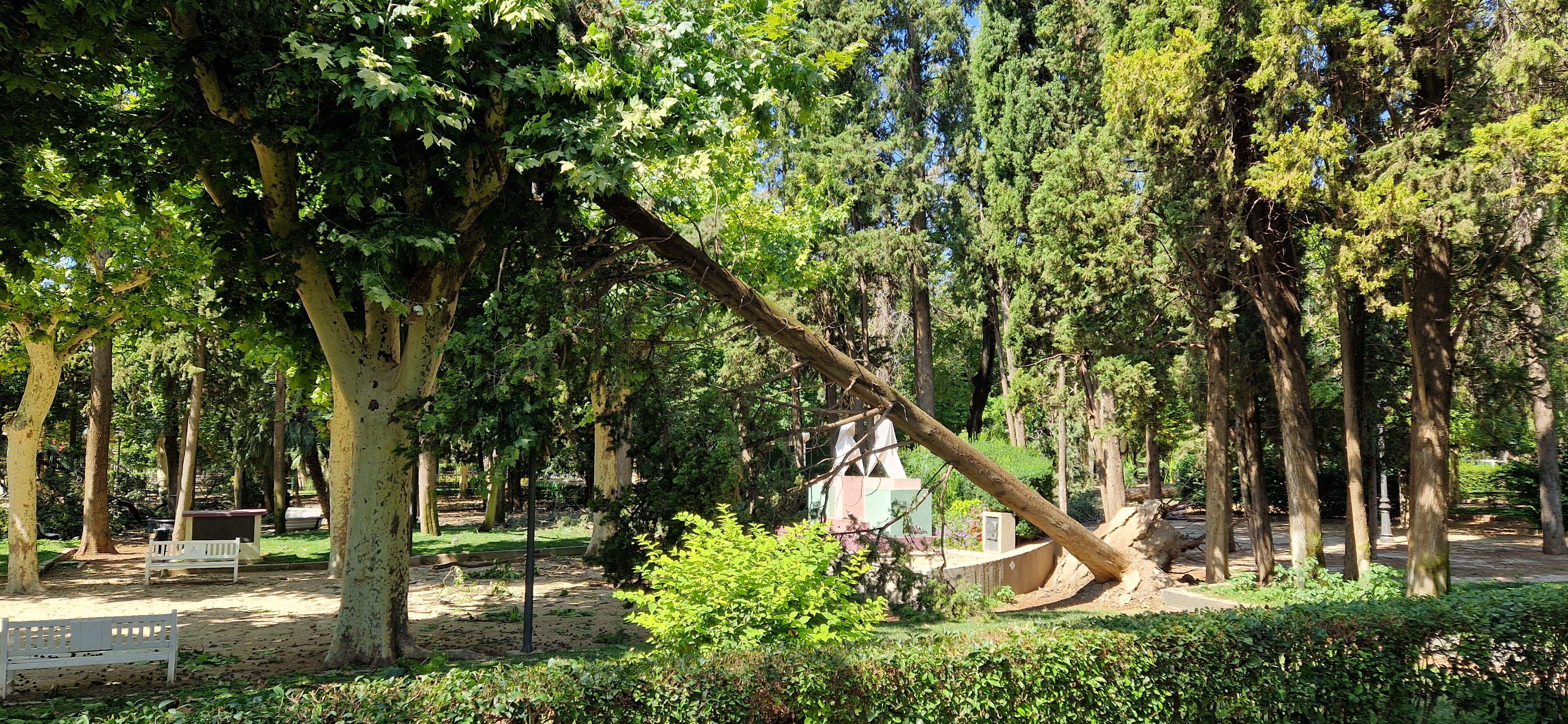 Parque Miguel Servet. Foto Myriam Martínez