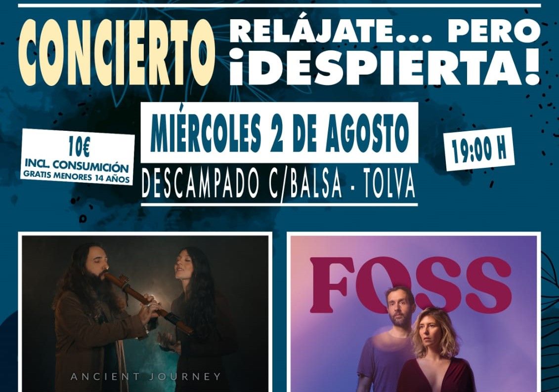 Cartel del concierto para rechazar la Autopista de Alta Tensión: Tolva canta contra los macroparques