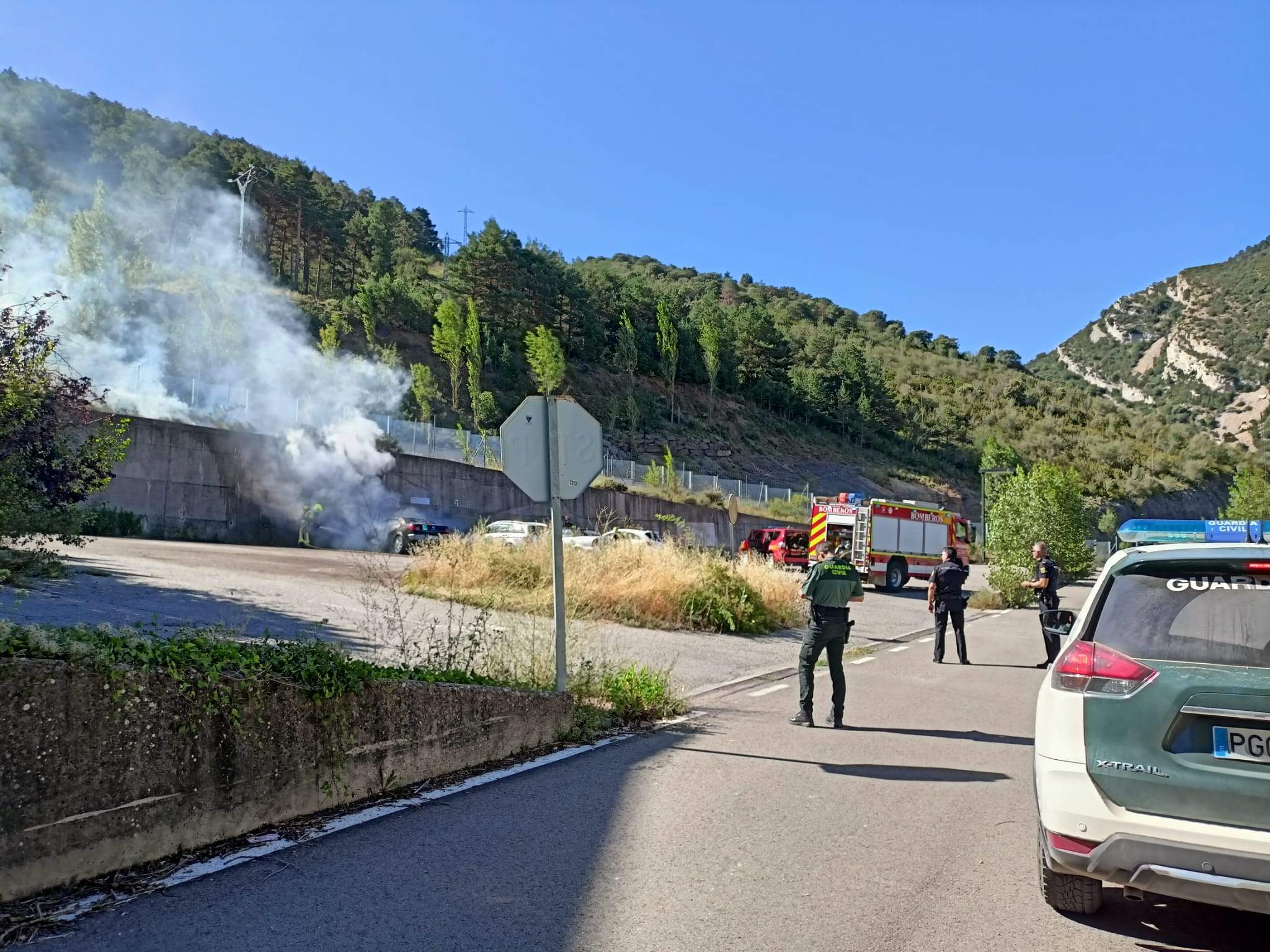 Vehículo calcinado en Arguis.