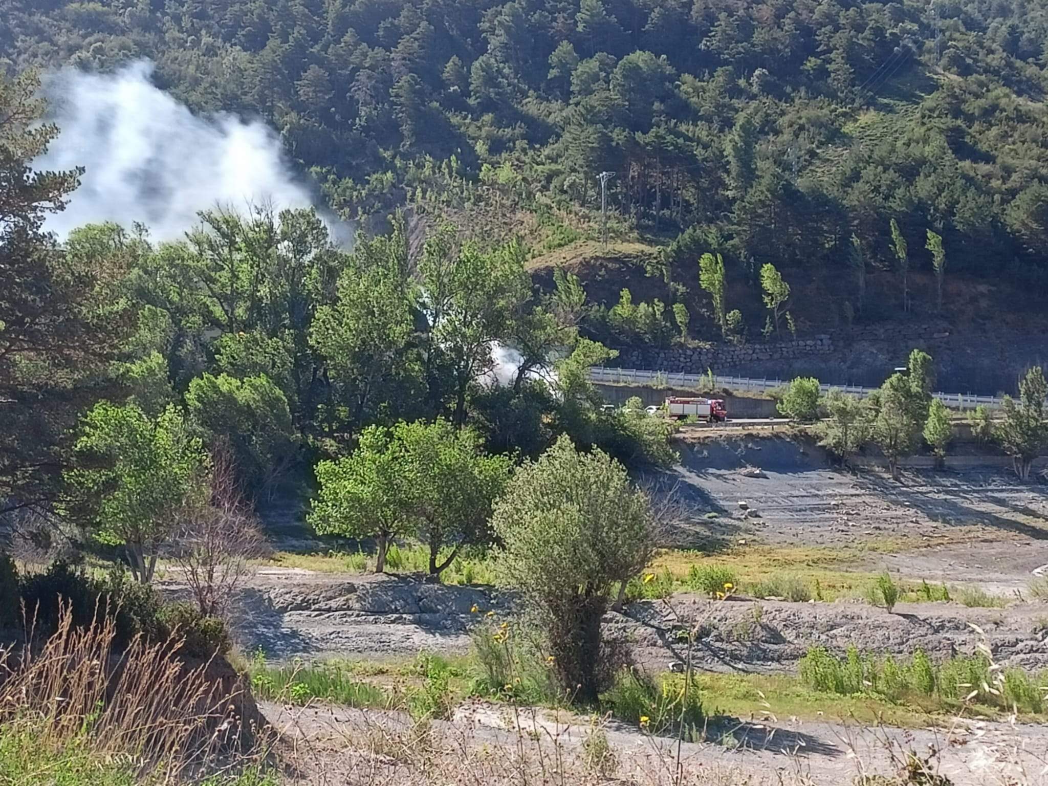 Vehículo calcinado en Arguis.