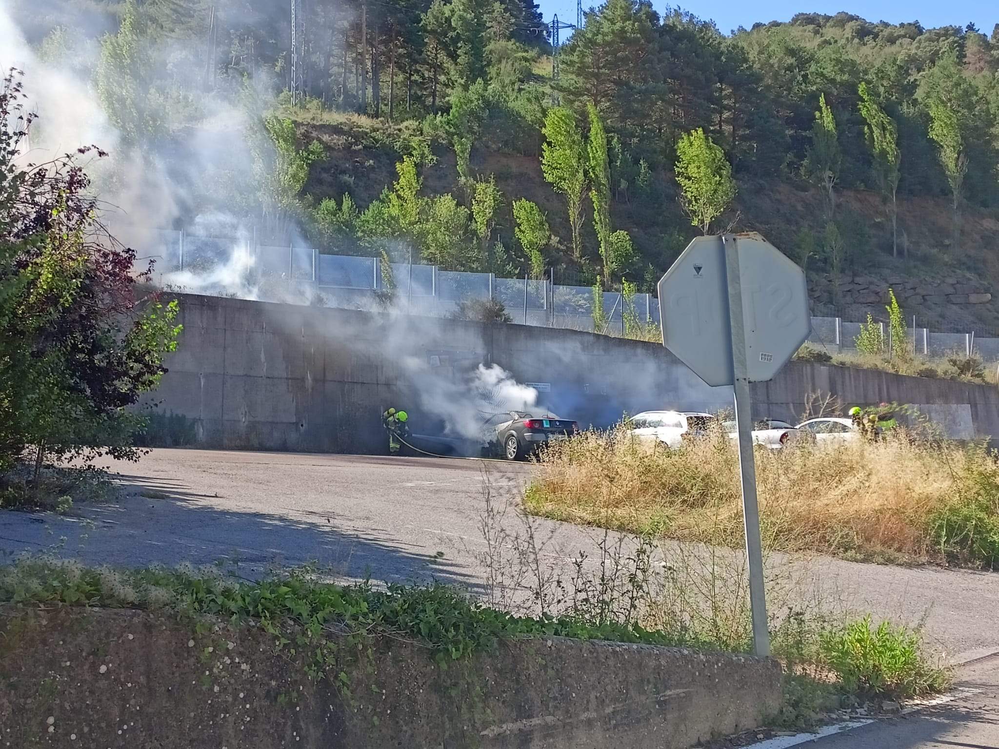 Vehículo calcinado en Arguis.