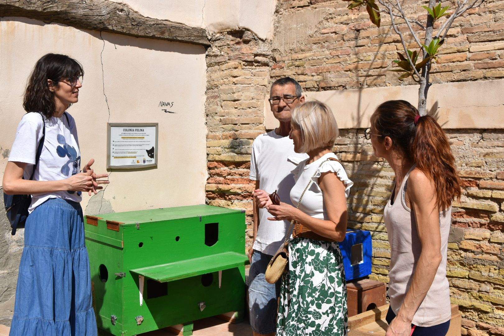 Campaña para gestionar las colonias felinas en Monzón