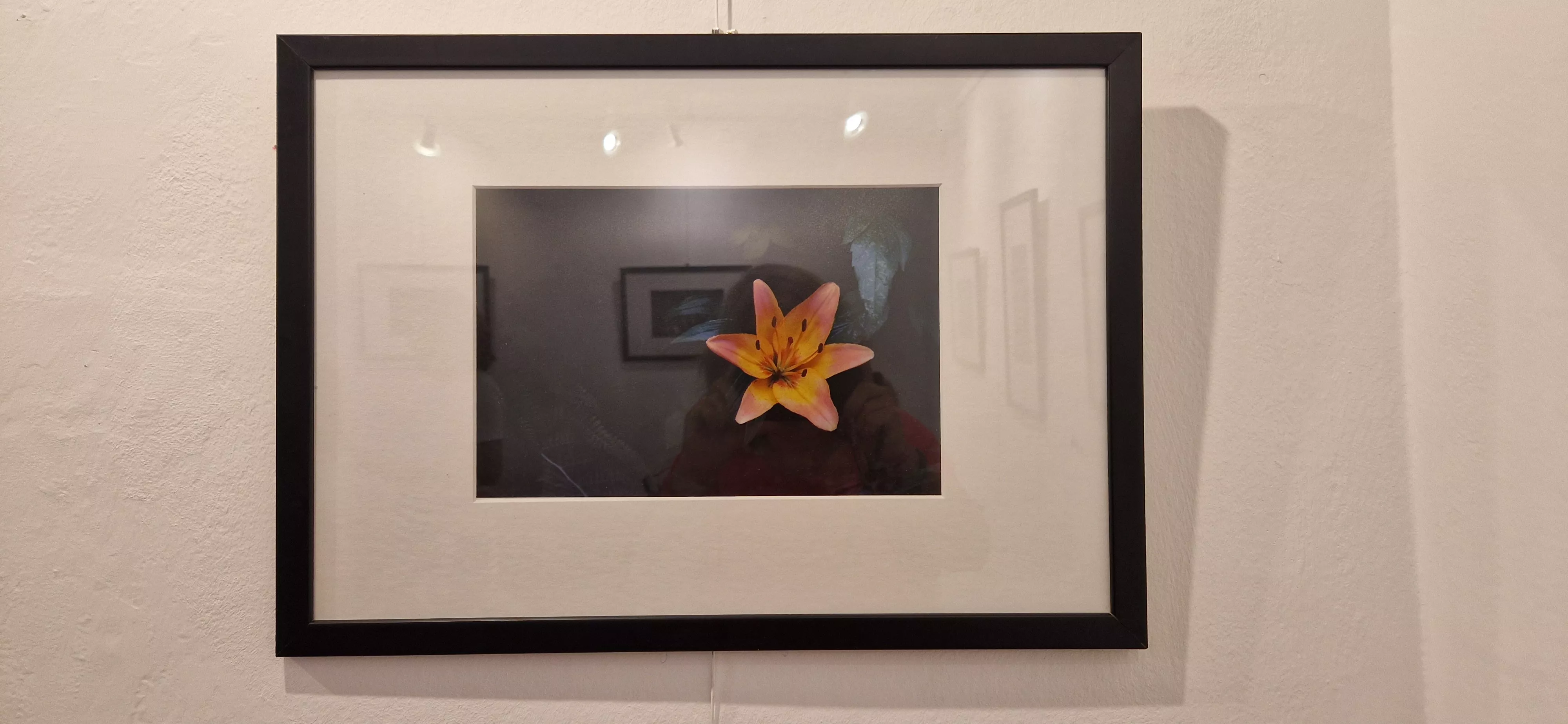 Exposición de Susana Aparicio y Juan Alonso en la Librería Anónima. Foto Myriam Martínez