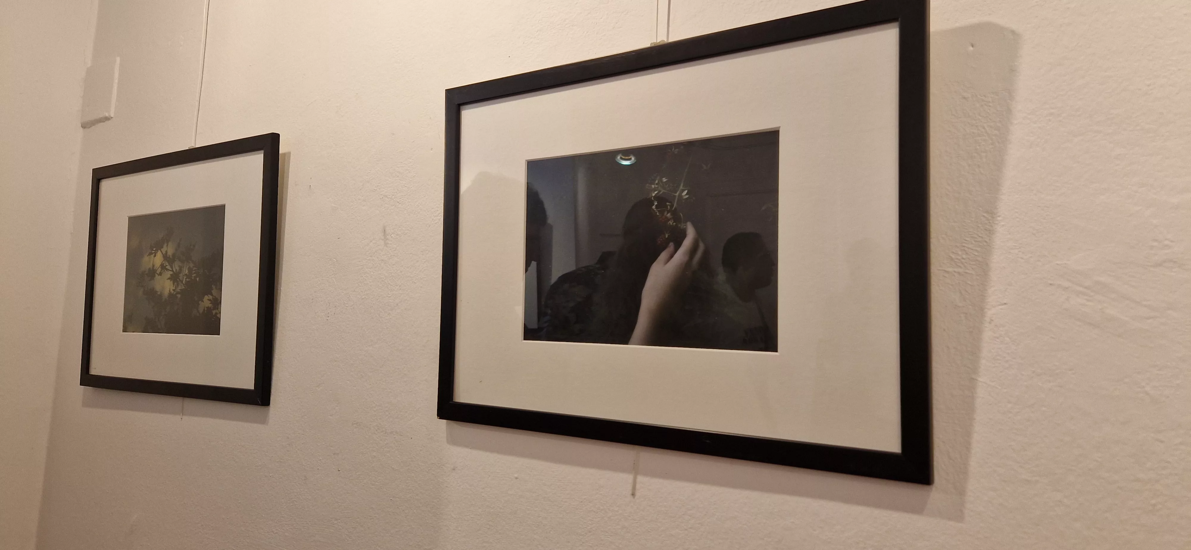 Exposición de Susana Aparicio y Juan Alonso en la Librería Anónima. Foto Myriam Martínez