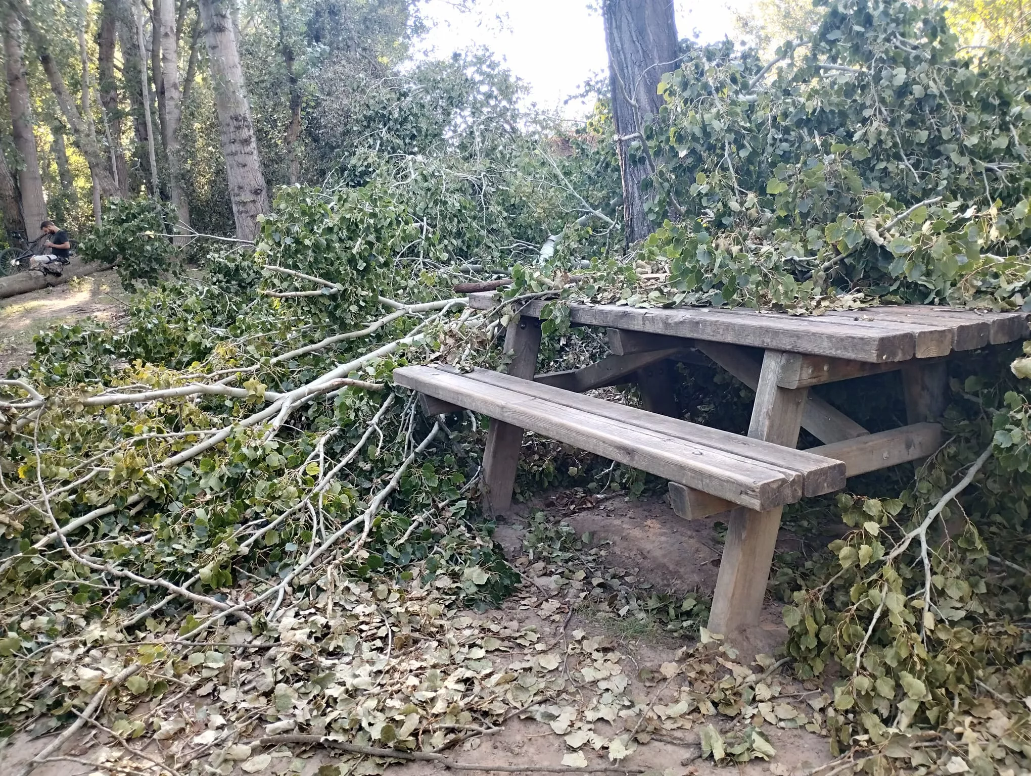 Afecciones de la tormenta en las Fuentes de Marcelo. 