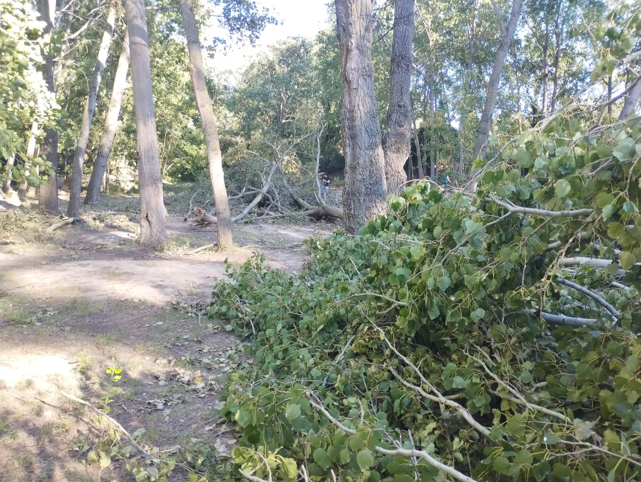 Afecciones de la tormenta en las Fuentes de Marcelo