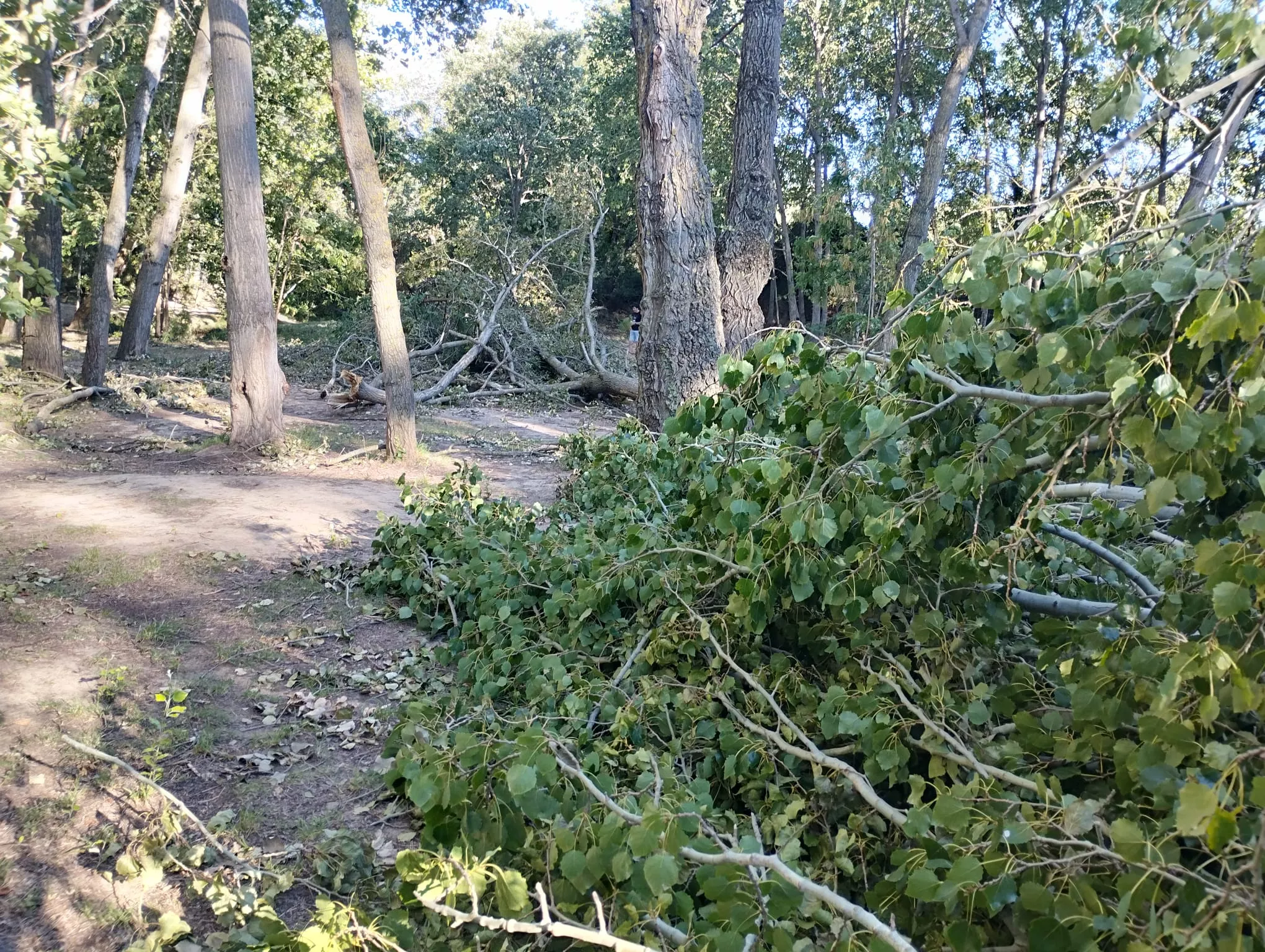 Afecciones de la tormenta en las Fuentes de Marcelo