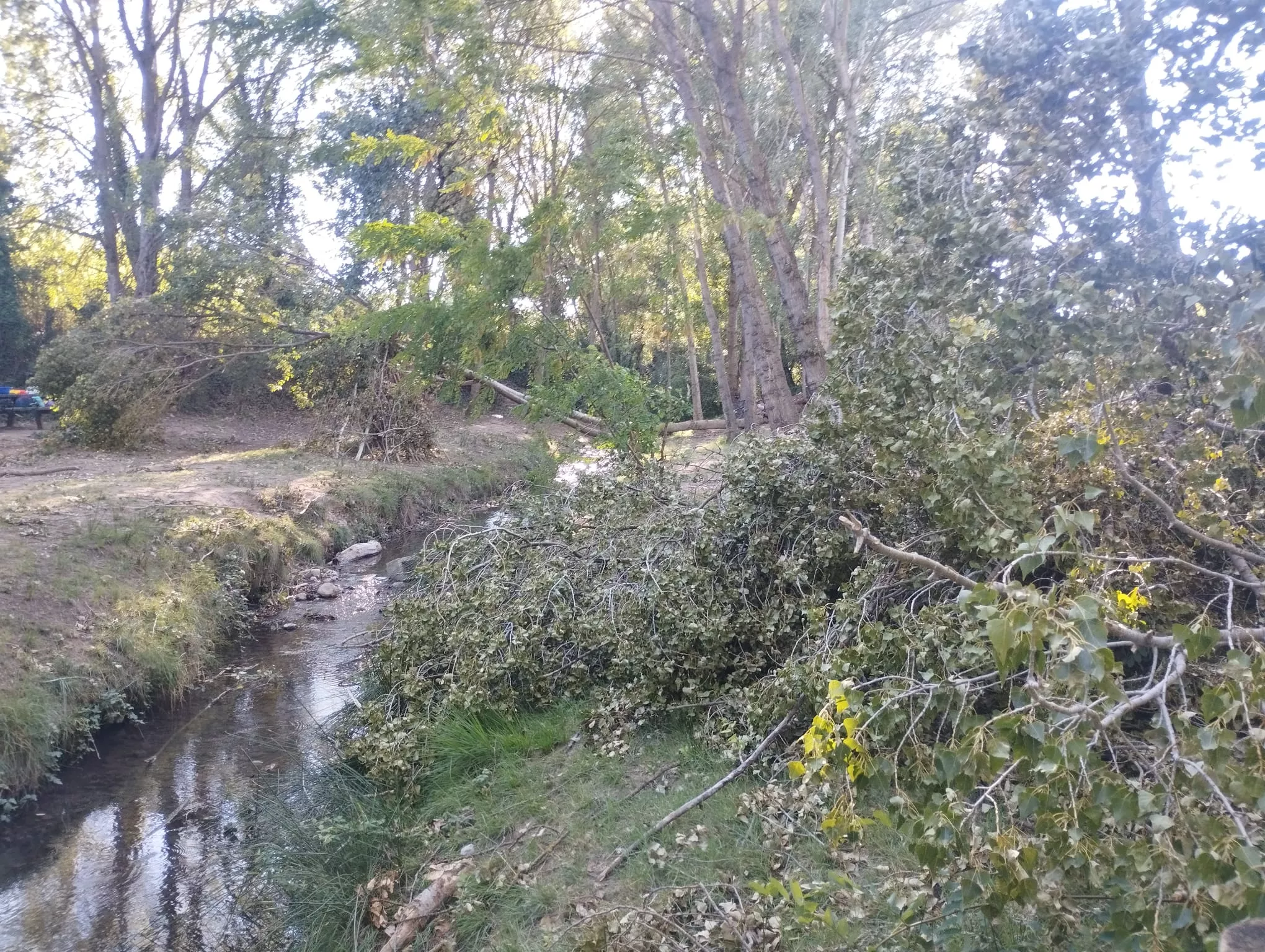 Afecciones de la tormenta en las Fuentes de Marcelo