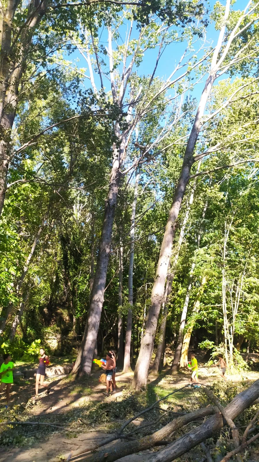 Afecciones de la tormenta en las Fuentes de Marcelo. 