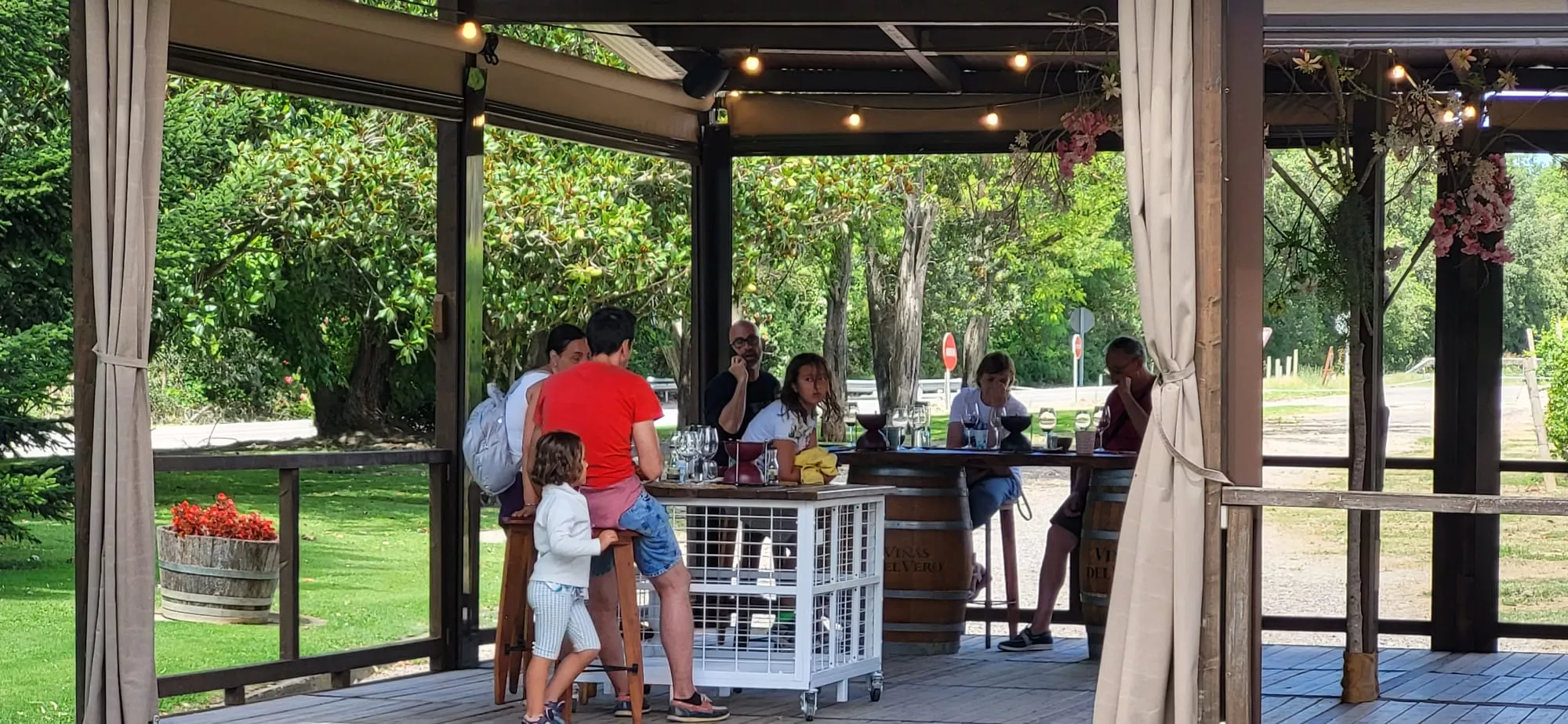 Joaquín Gálvez, Wineman, en Viñas del Vero