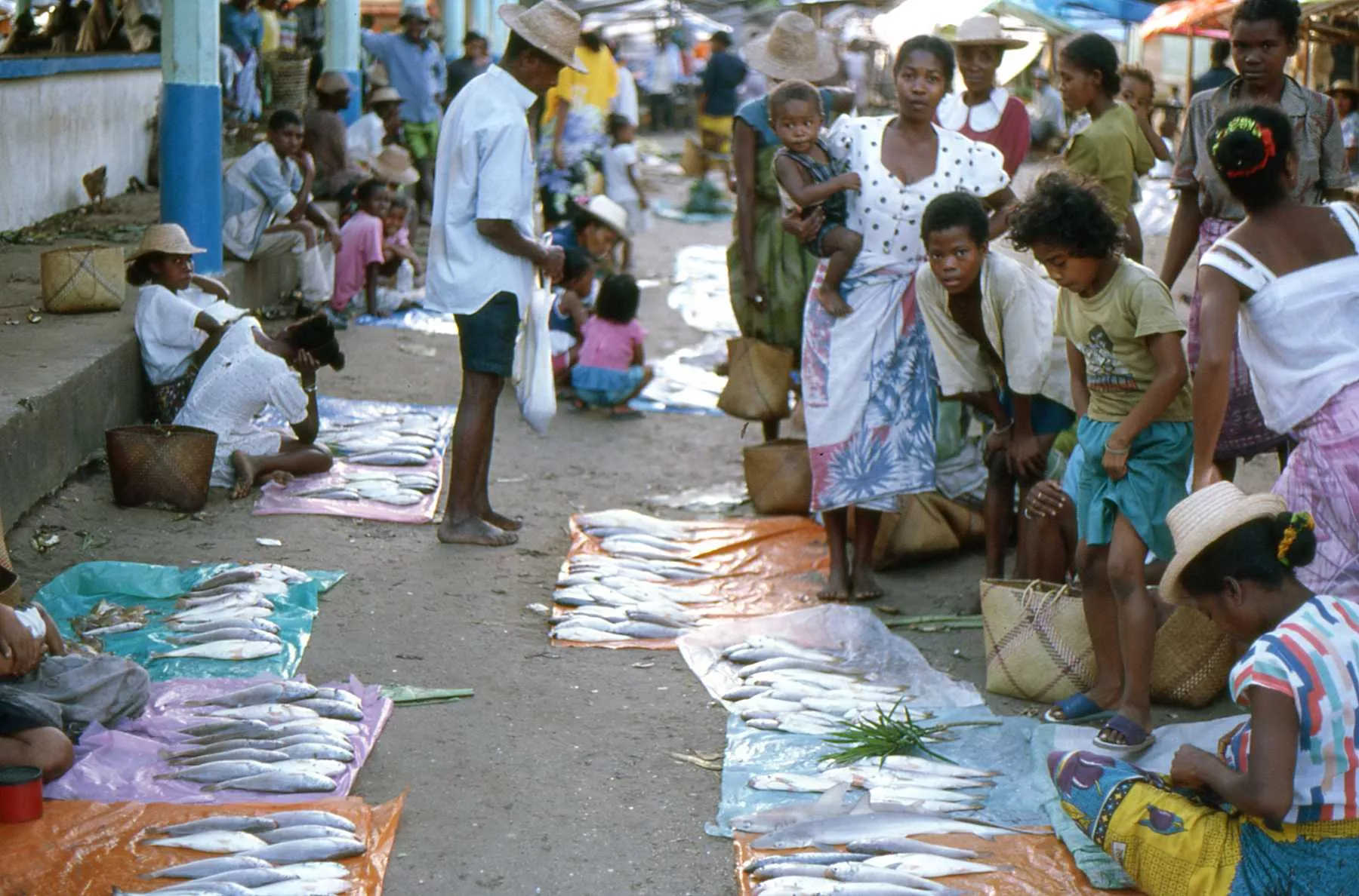 Fotografías de Marco Pascual en el Pangalanes