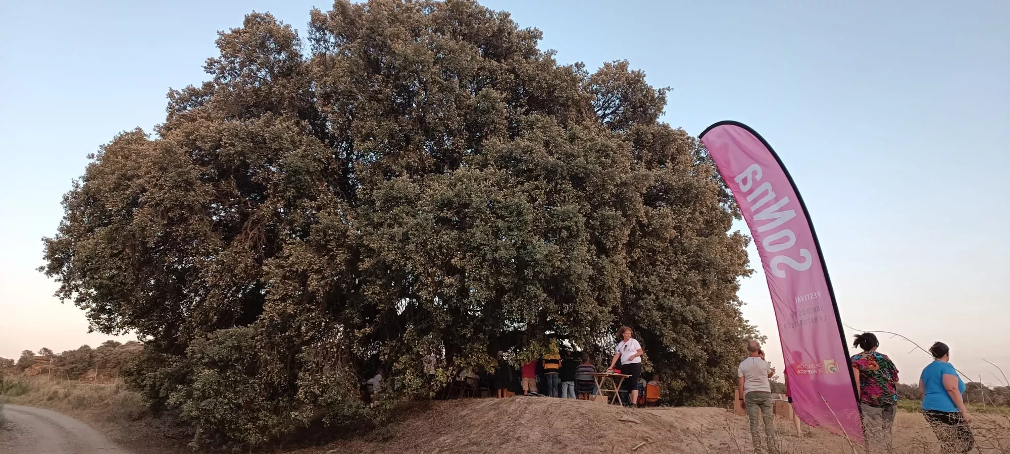 Actuación de Sheila Blanco en la carrasca Larredán.