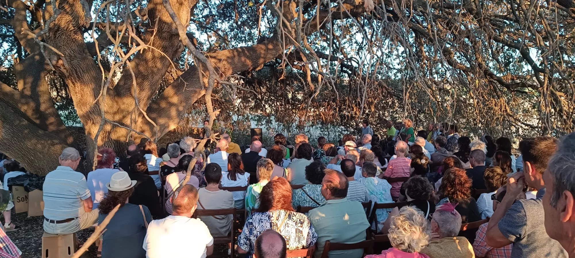 Actuación de Sheila Blanco en la carrasca Larredán.