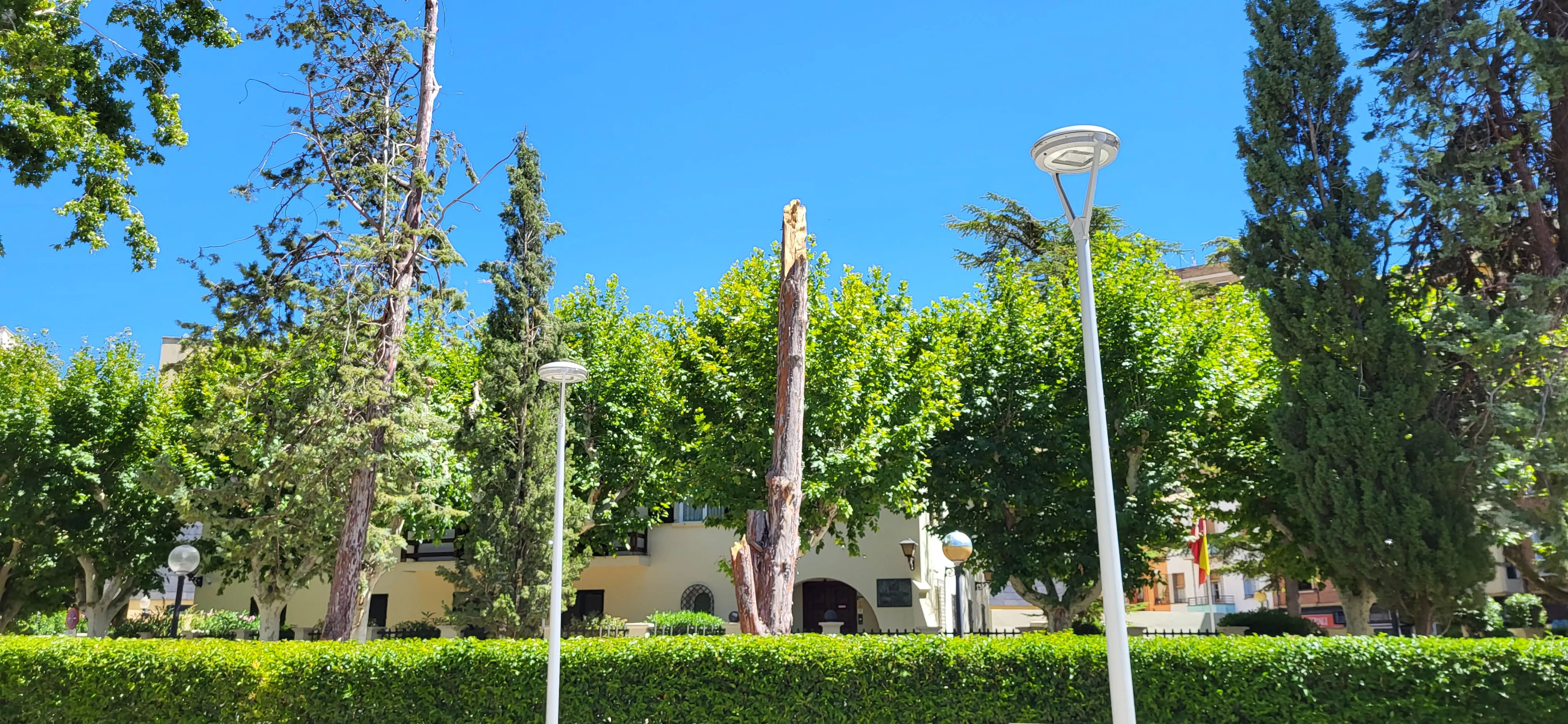 El Parque Miguel Servet ha reabierto tras la evaluación de daños por la tormenta.