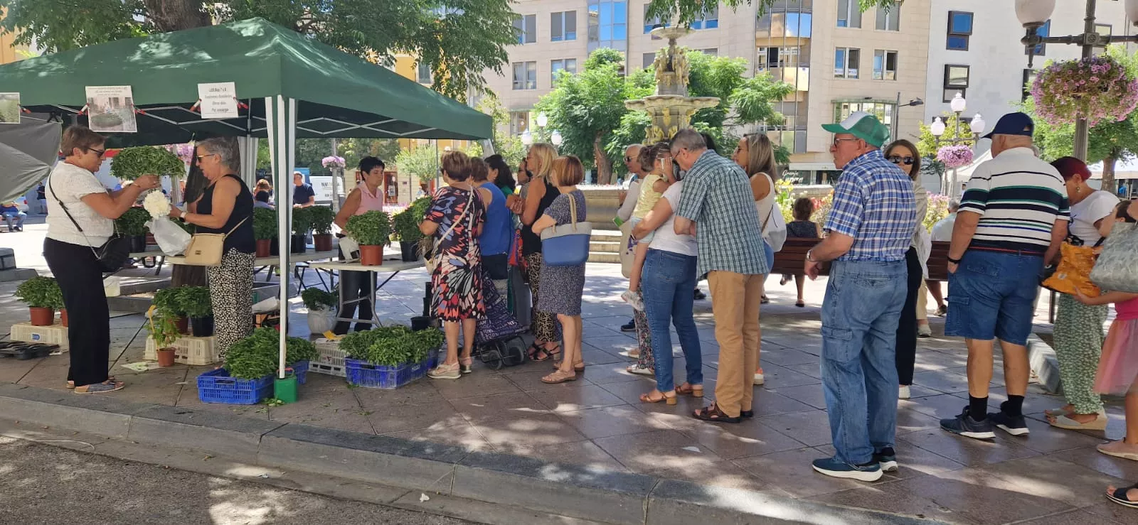 Preparativos en Huesca de las fiestas de San Lorenzo. Foto: Myriam Martínez