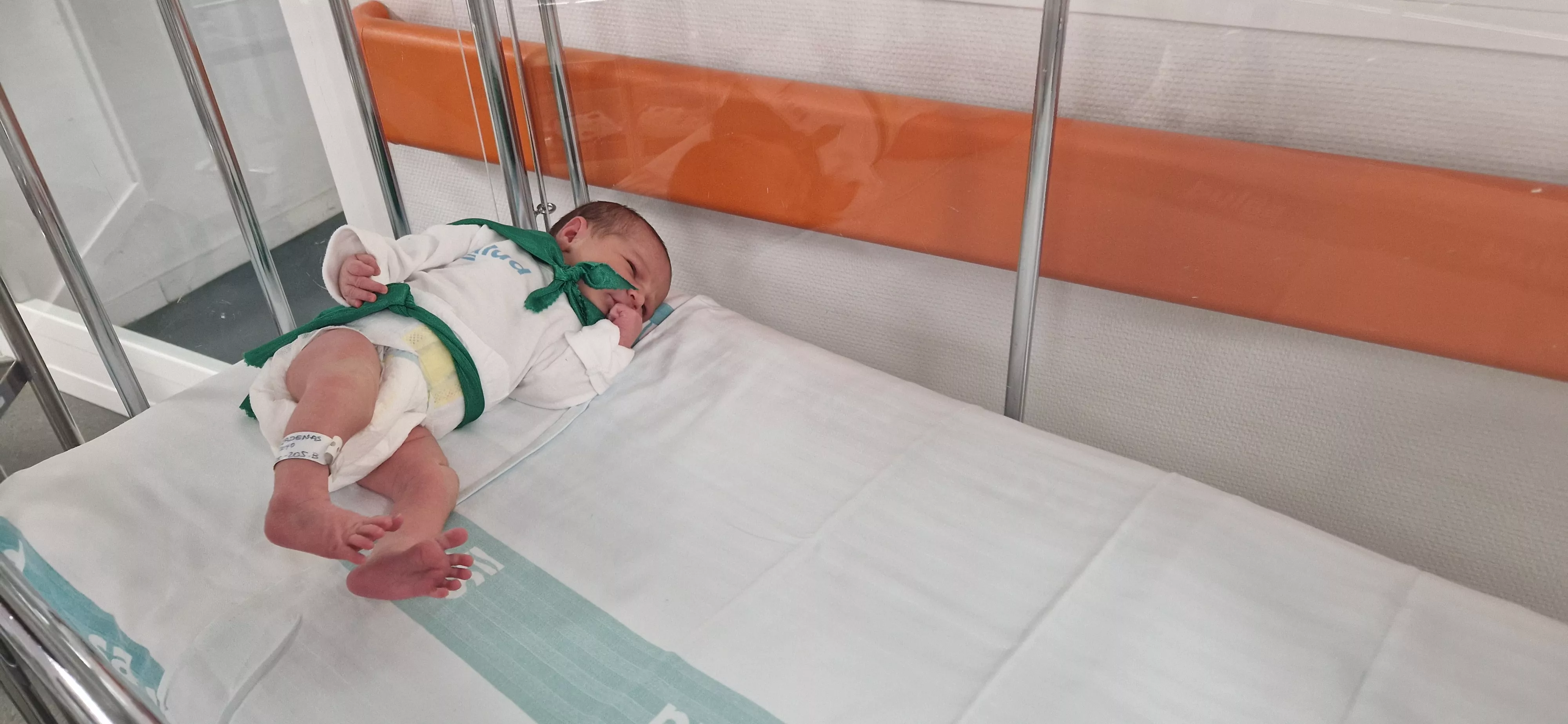 Peña del Chupetín 2023. Foto Myriam Martínez