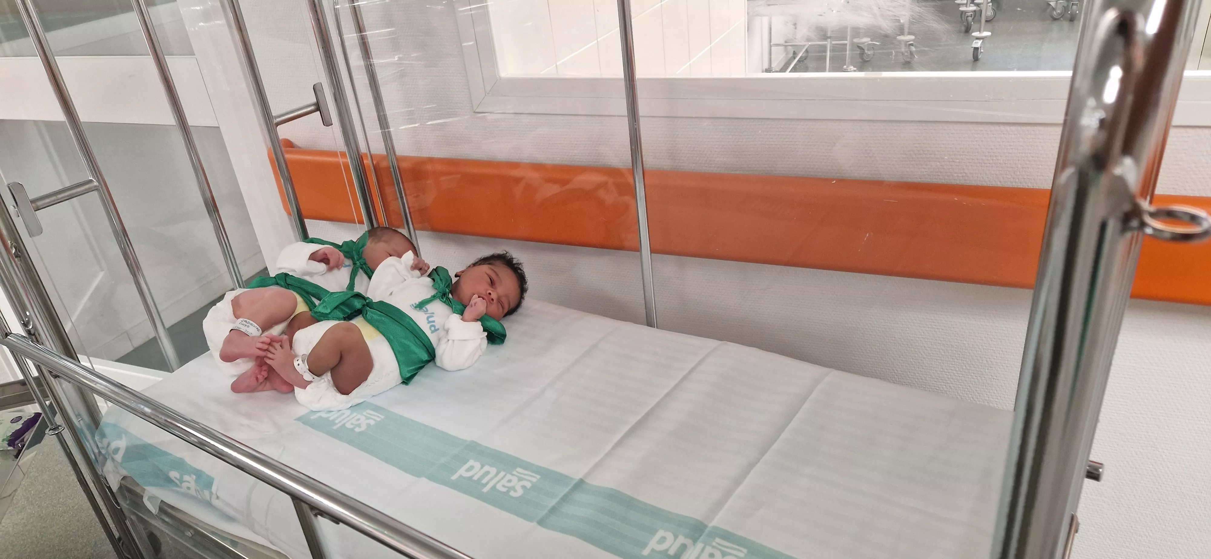 Peña del Chupetín 2023. Foto Myriam Martínez