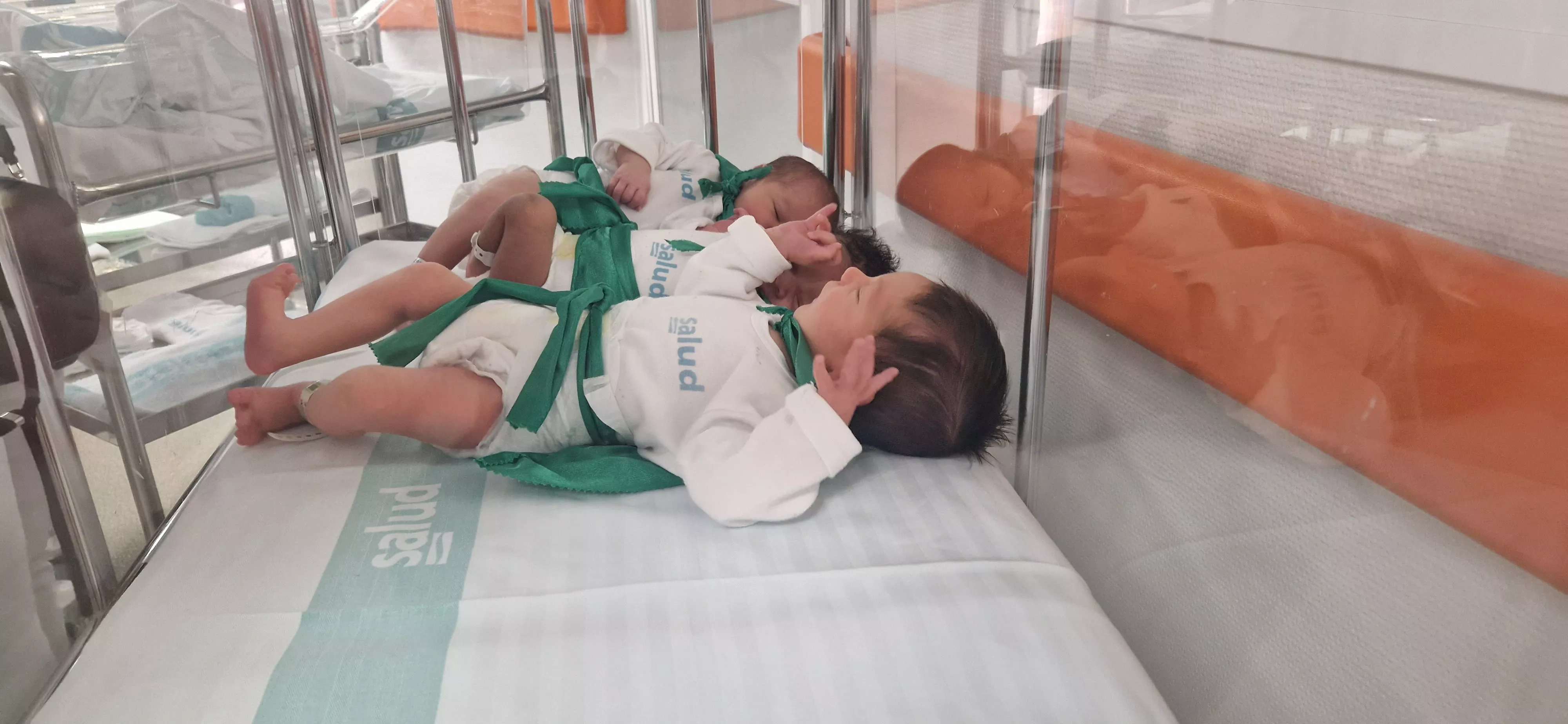 Peña del Chupetín 2023. Foto Myriam Martínez