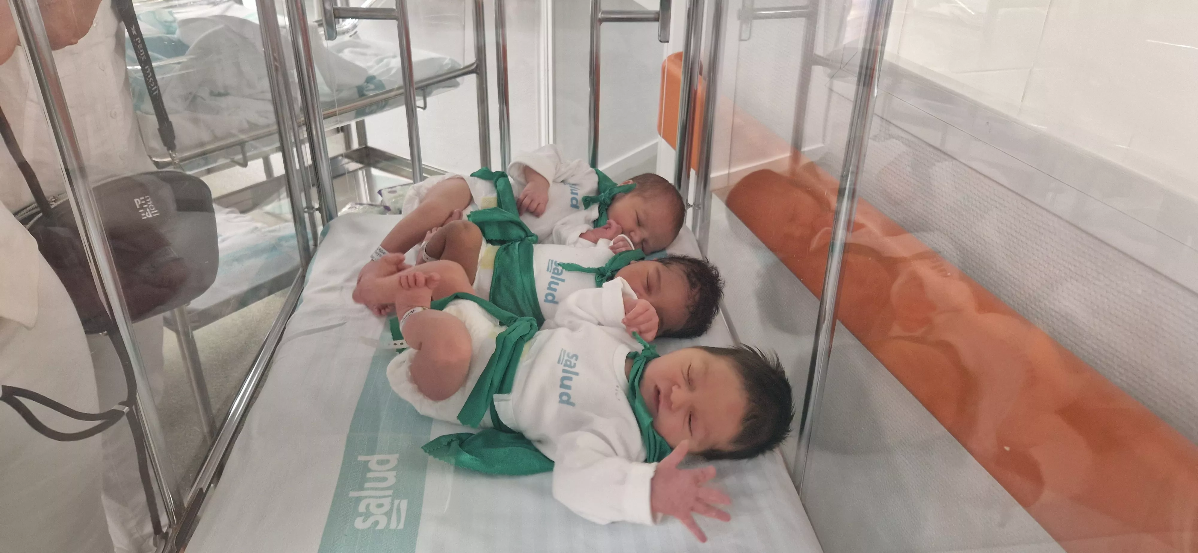 Peña del Chupetín 2023. Foto Myriam Martínez