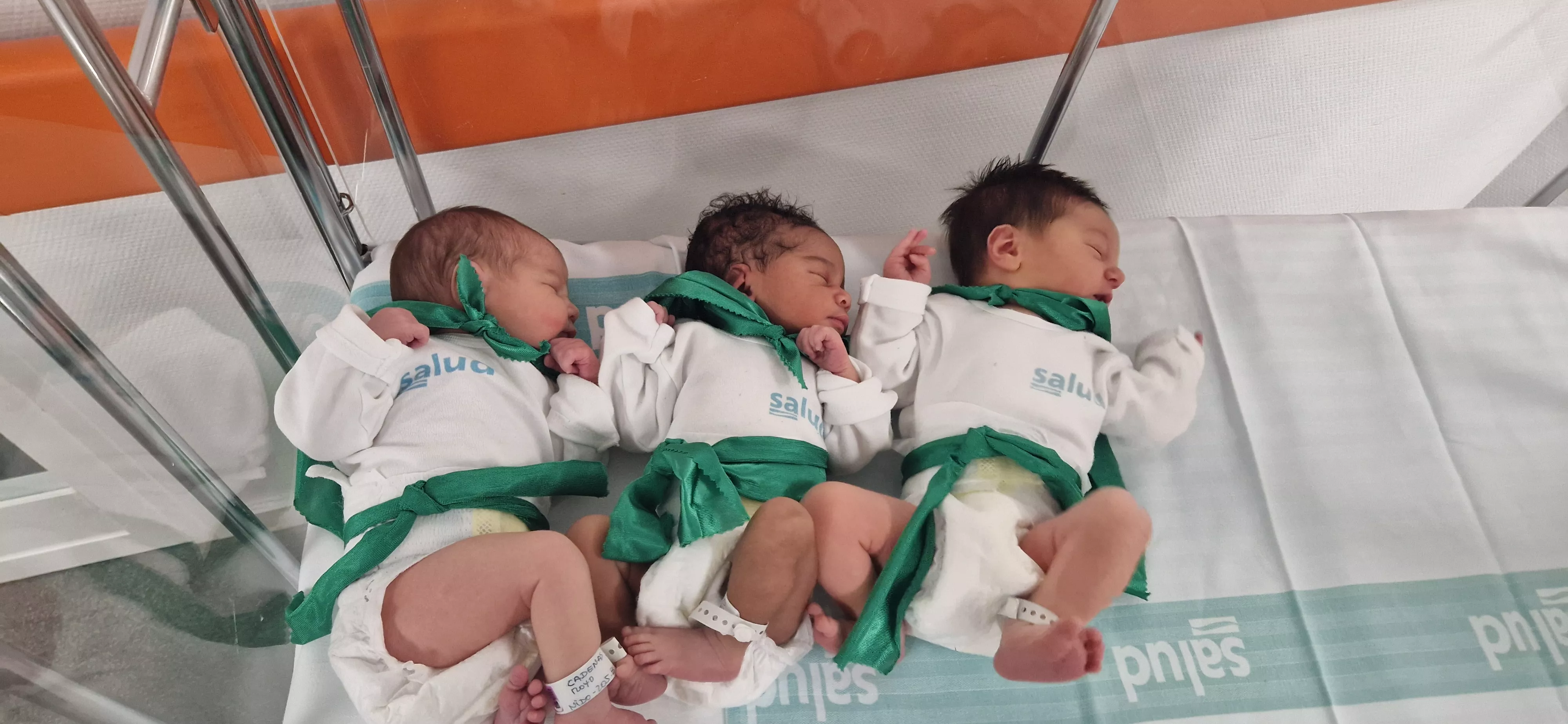 Peña del Chupetín 2023. Foto Myriam Martínez