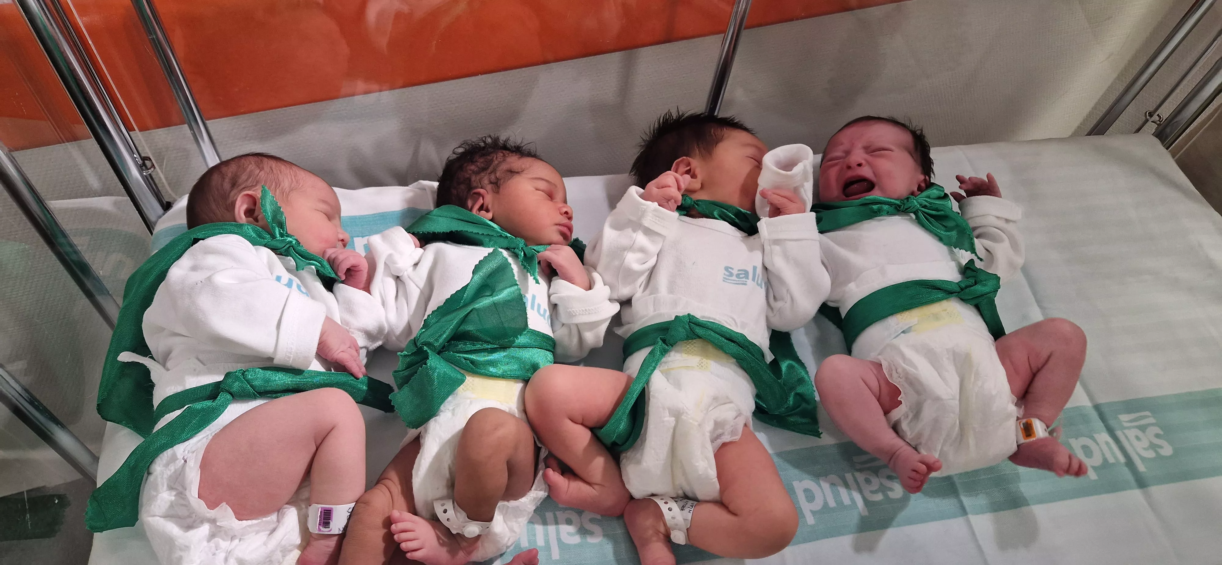 Peña del Chupetín 2023. Foto Myriam Martínez